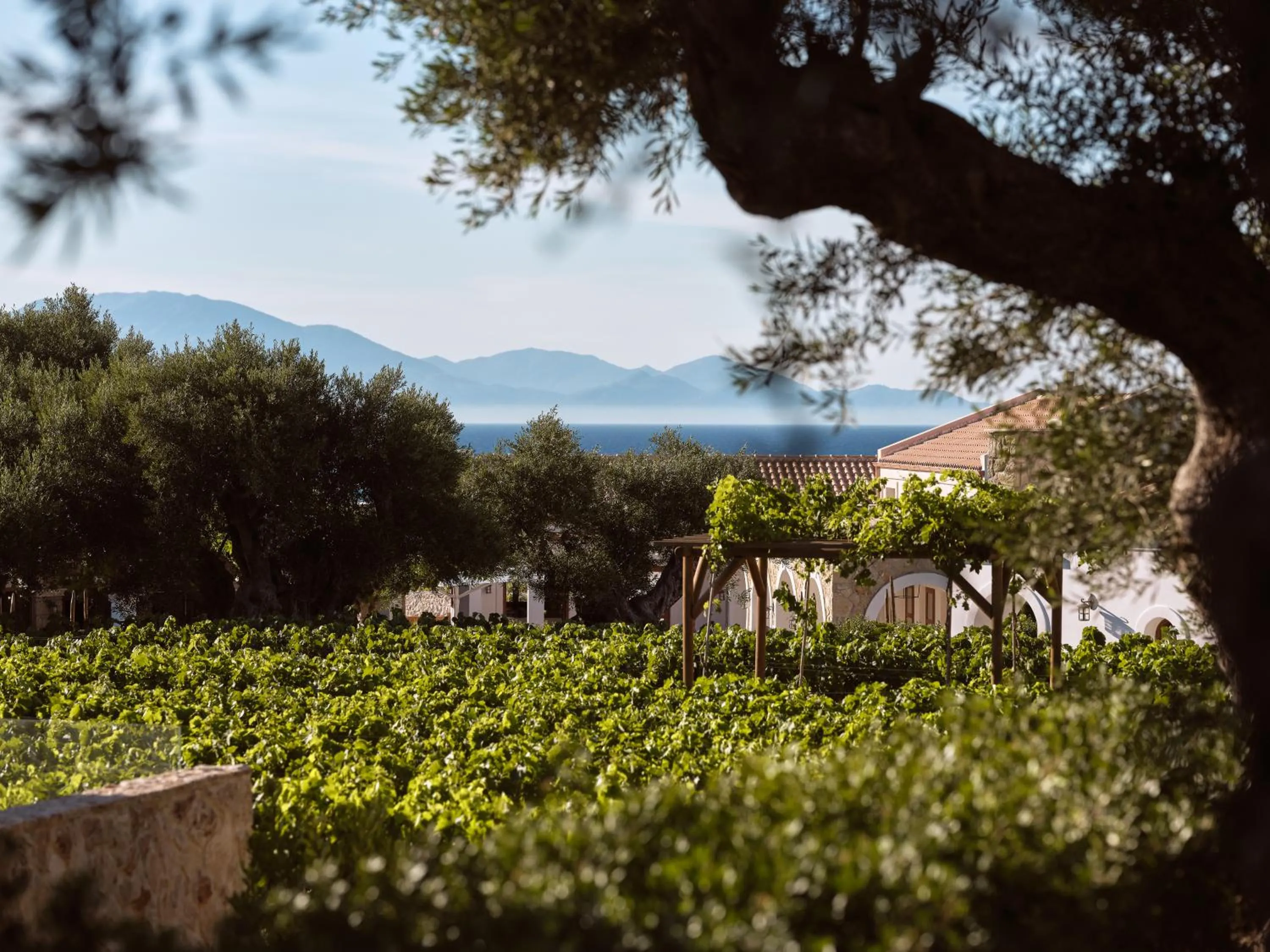 Garden in Lesante Cape - The Leading Hotels of the World