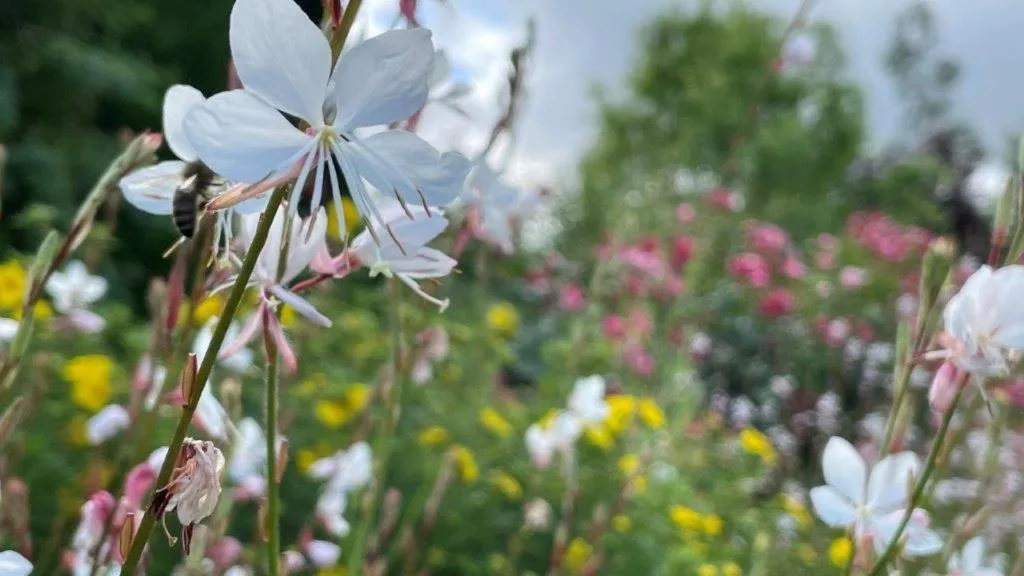 Property building in Domaine de Bel Ebat