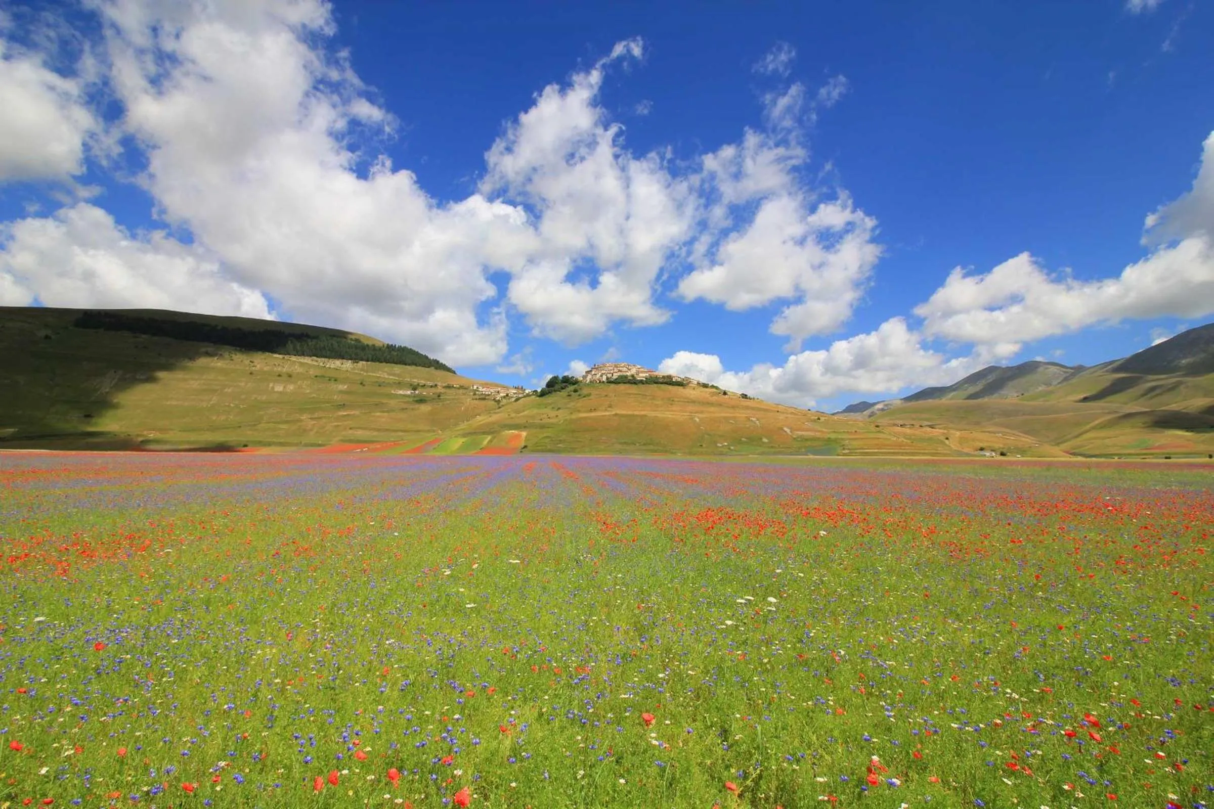 Nearby landmark in Albergo Benito