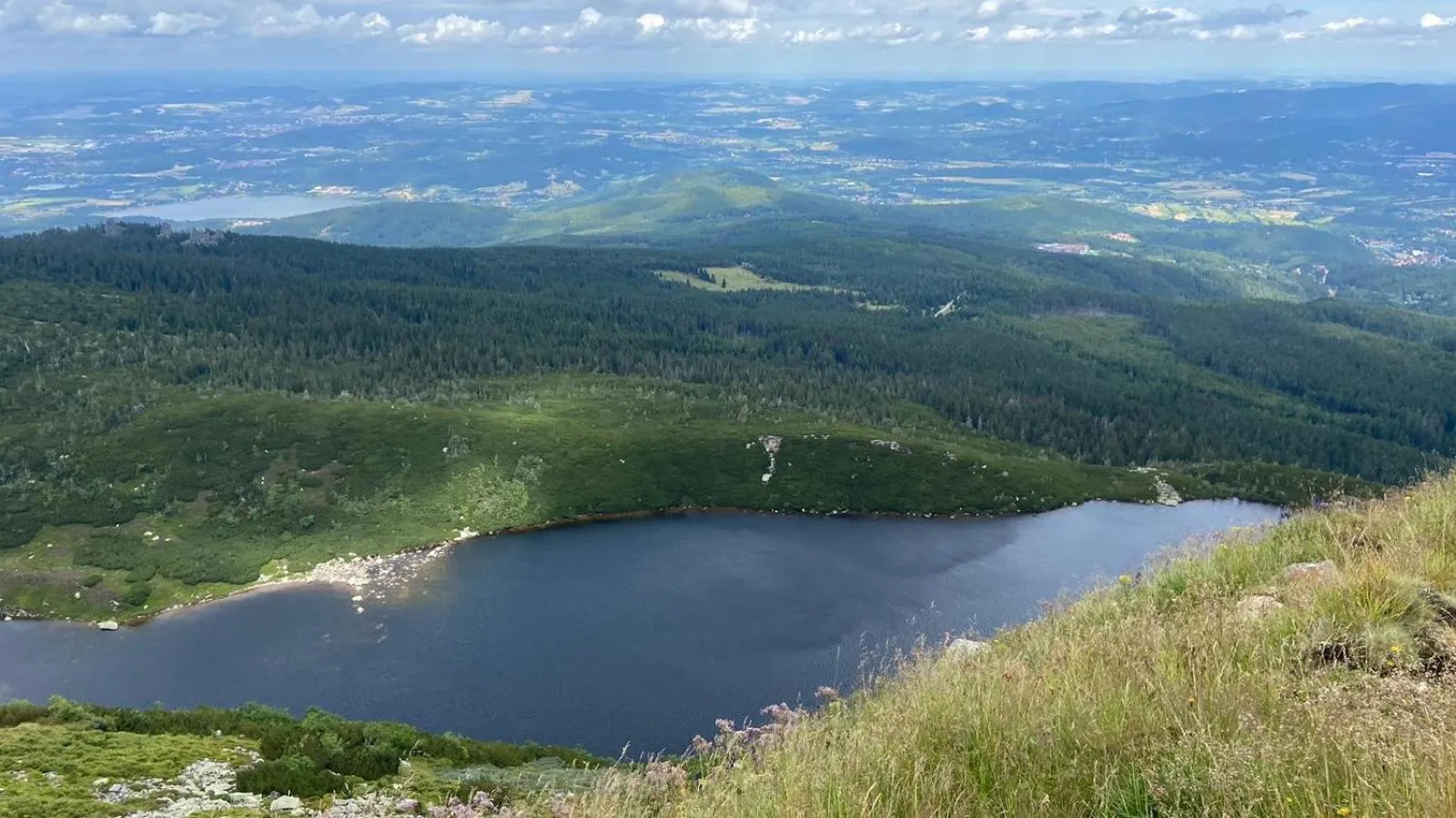 Day in Dom Pod Sosną