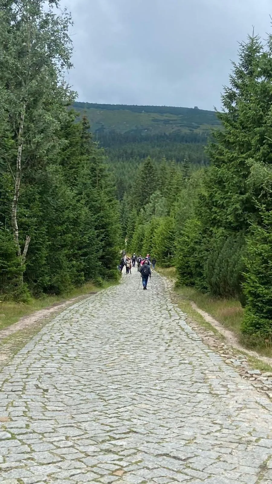 People in Dom Pod Sosną