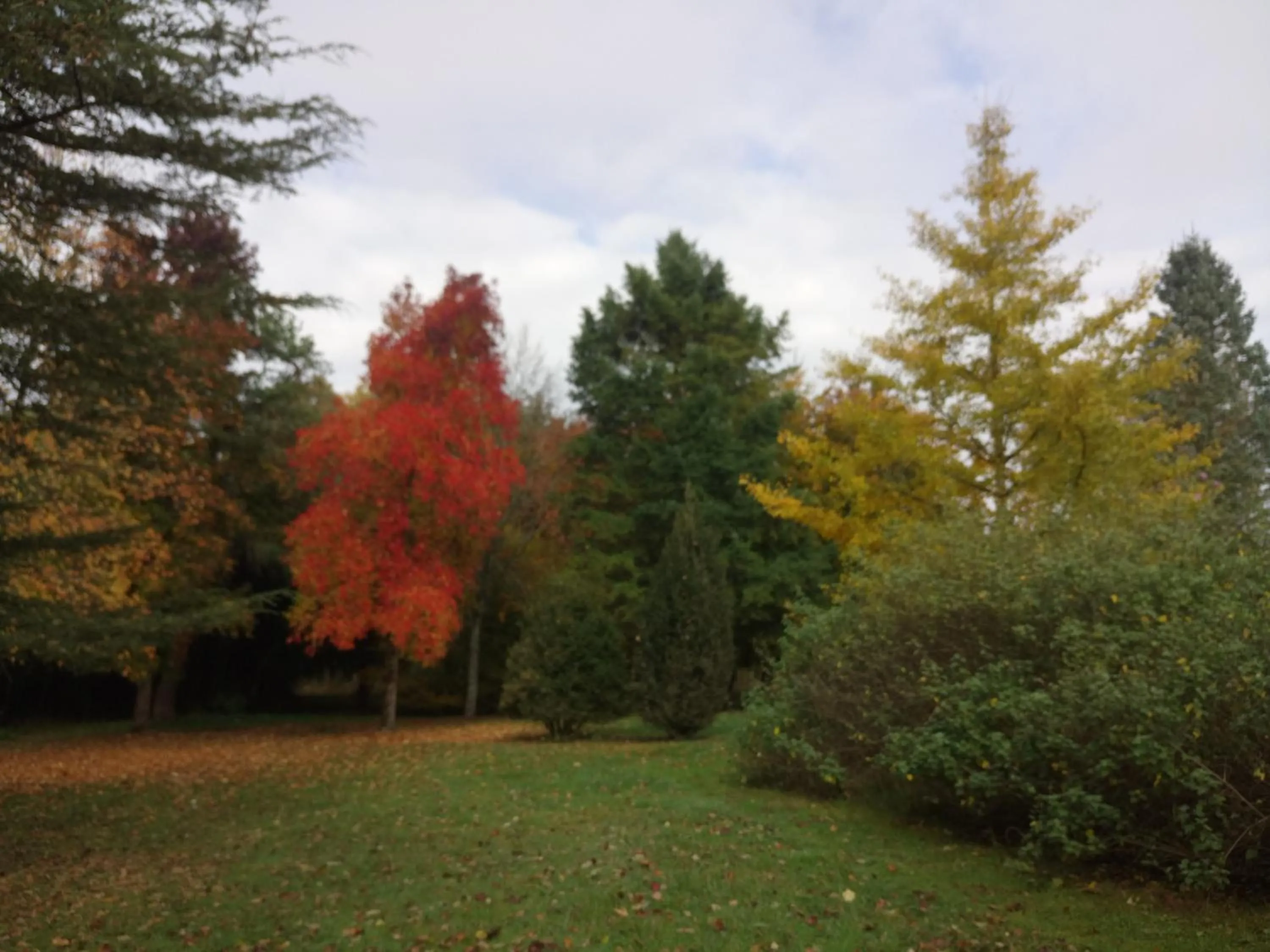 Garden in CHANTOISEAU