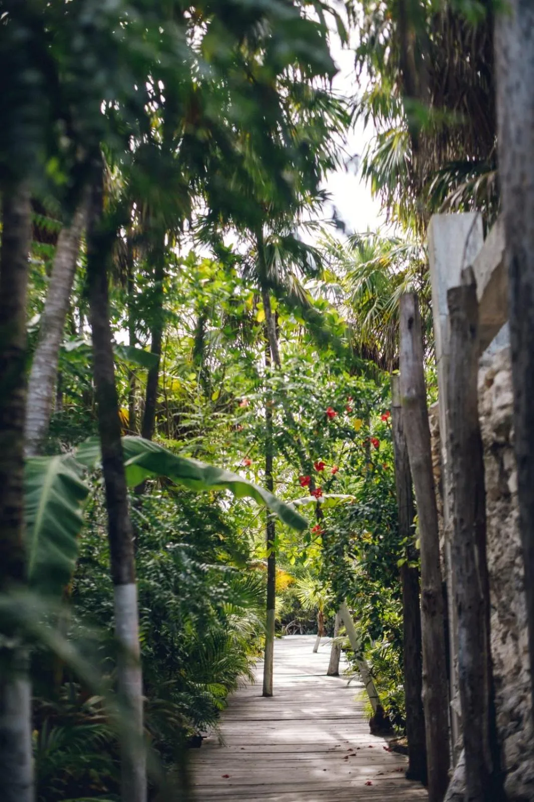 Spring in Uman Glamping & Cenote Tulum