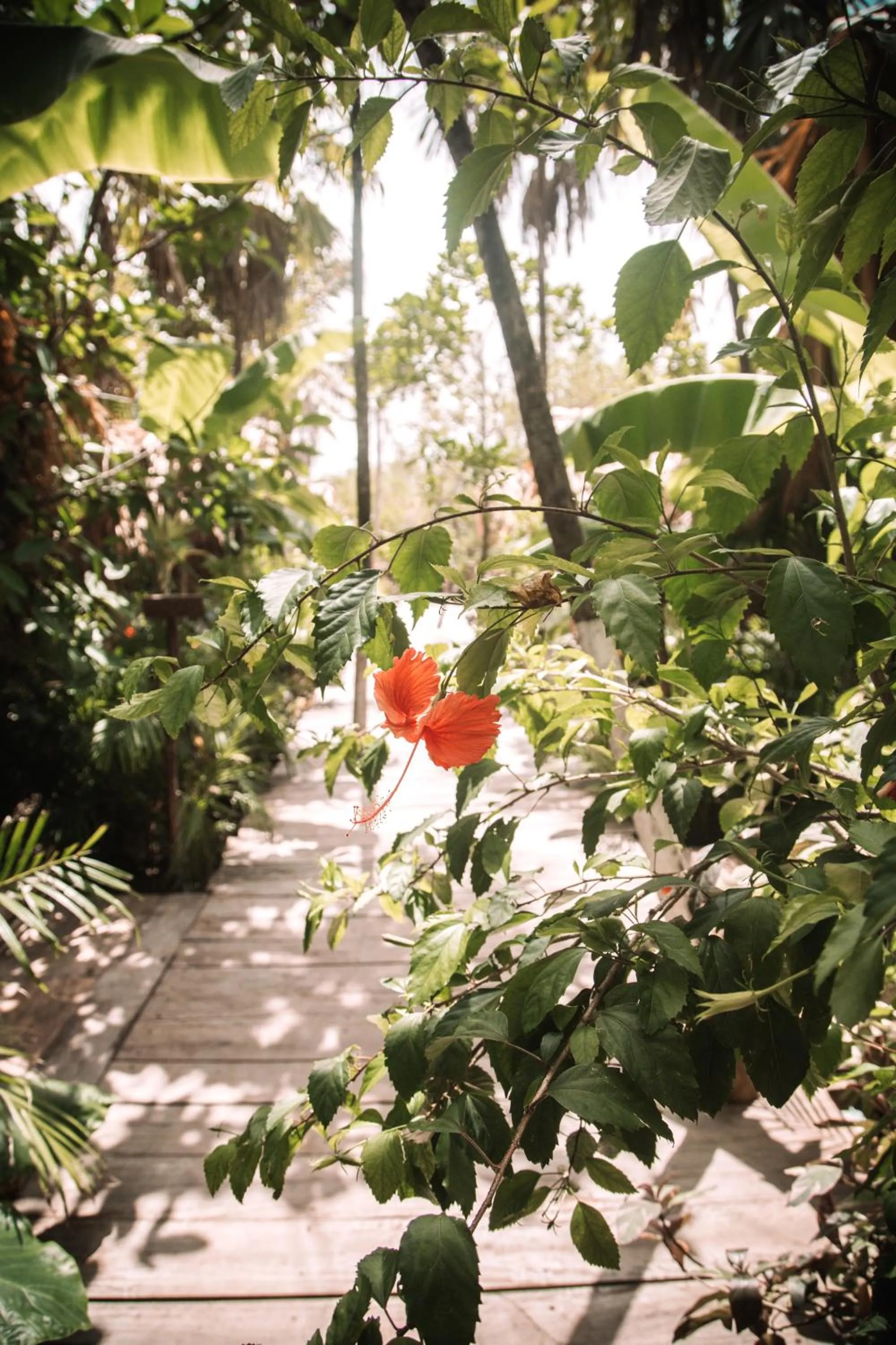 Patio in Uman Glamping & Cenote Tulum