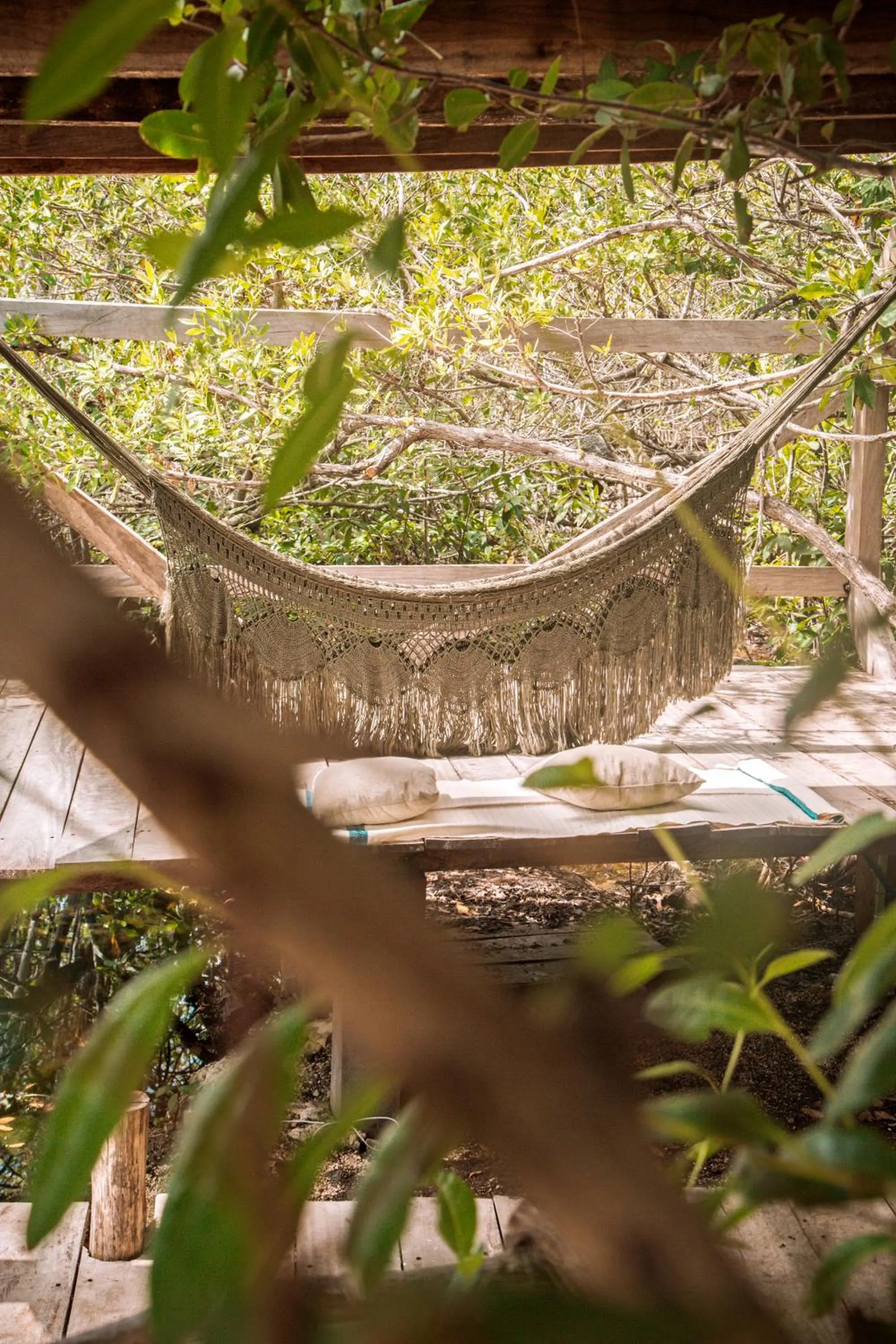 Natural landscape in Uman Glamping & Cenote Tulum