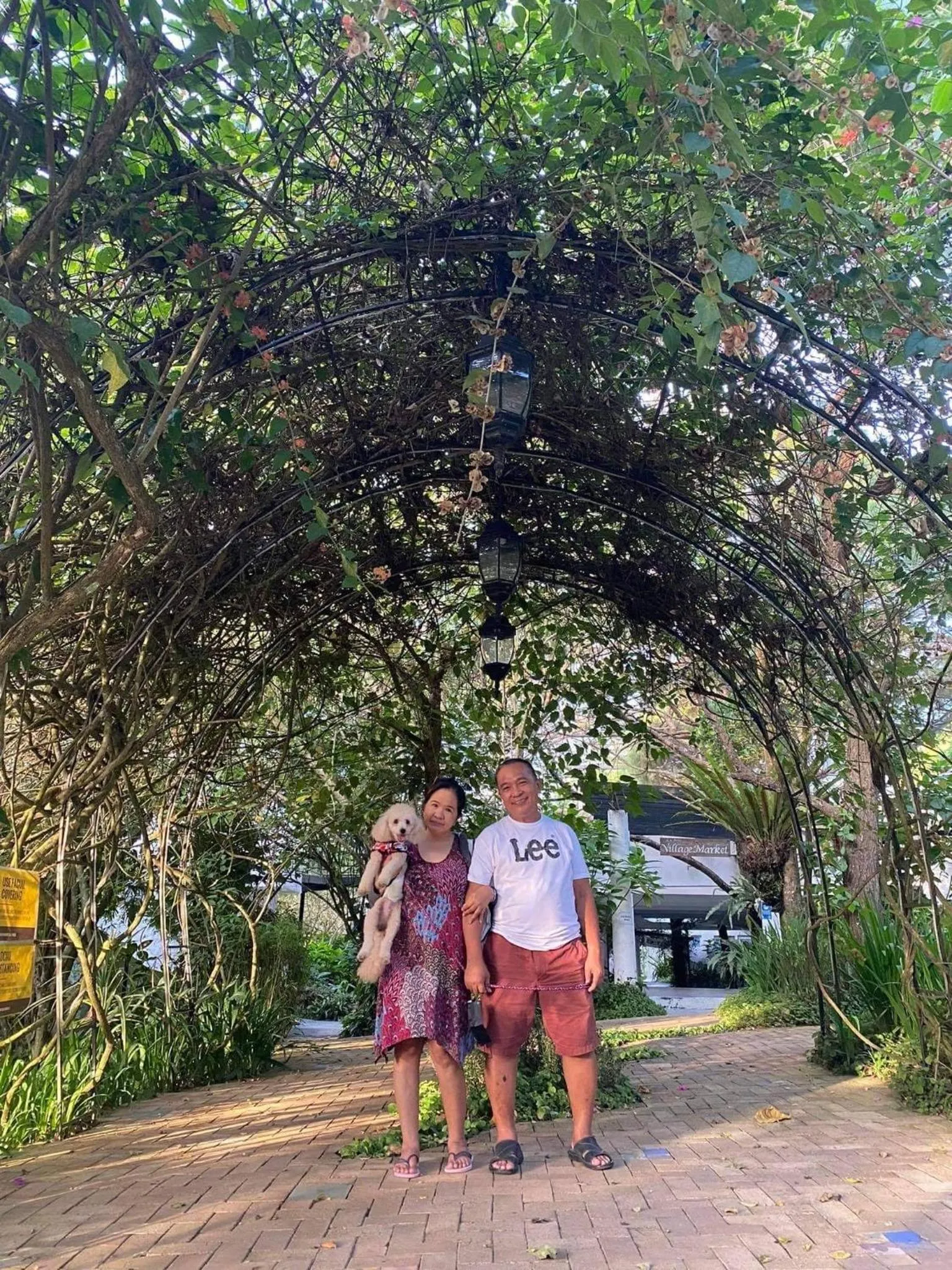 Garden in Casa Ayesha Sweet Staycation at La Bella Tagaytay