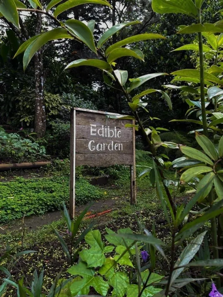 Garden in Casa Ayesha Sweet Staycation at La Bella Tagaytay