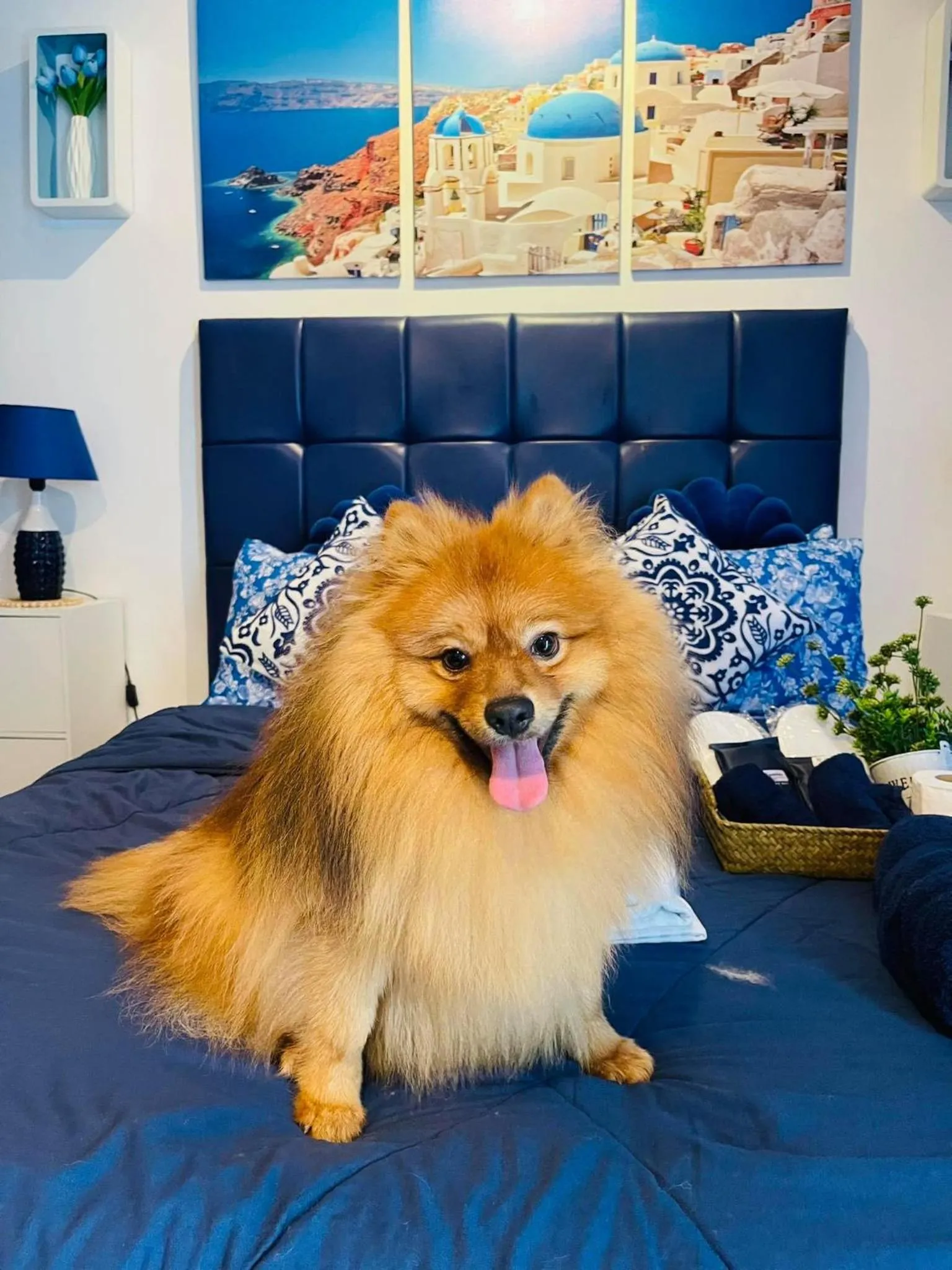 Bed in Casa Ayesha Sweet Staycation at La Bella Tagaytay