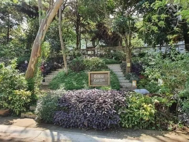 Natural landscape in Casa Ayesha Sweet Staycation at La Bella Tagaytay