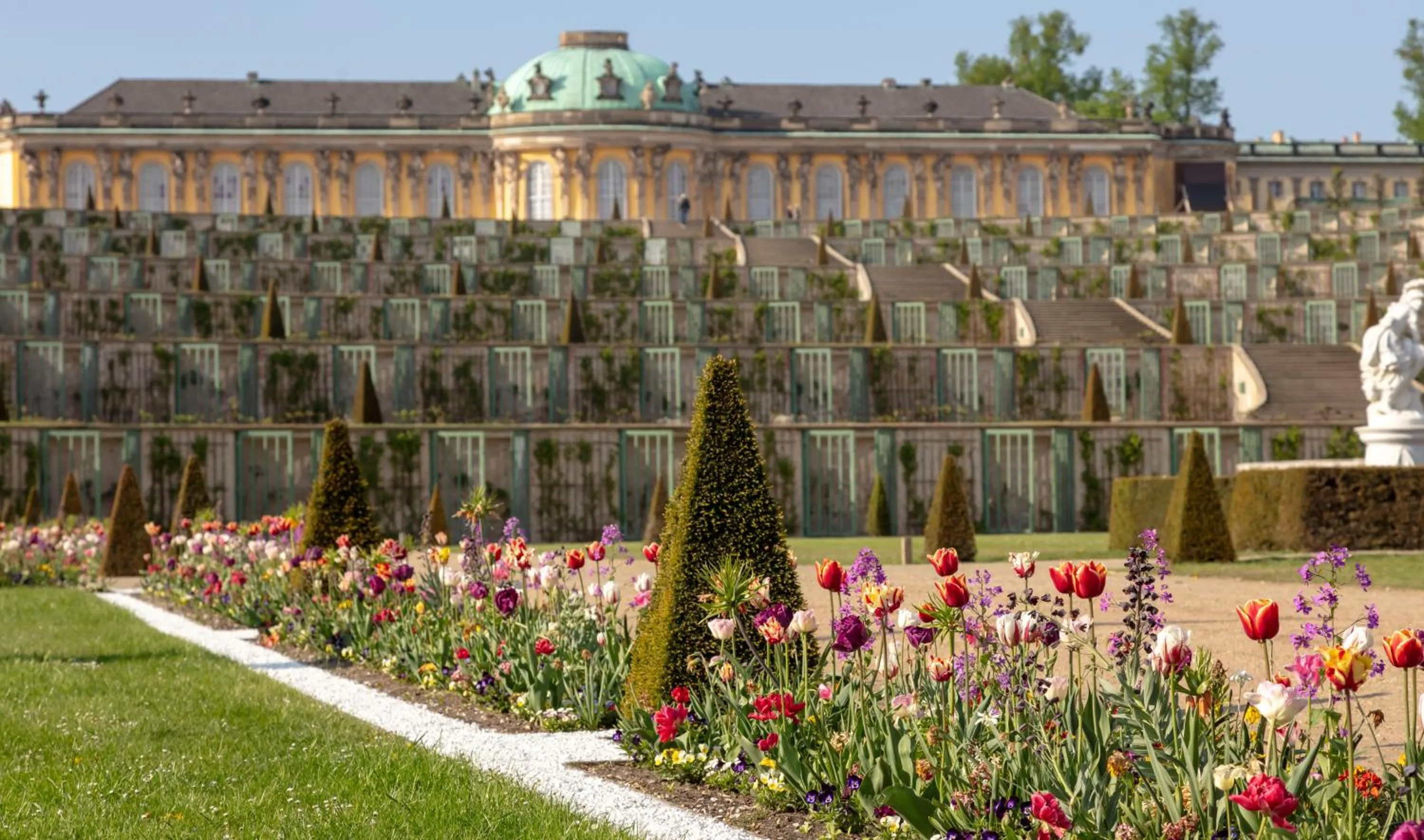 Area and facilities in Holiday Inn Express & Suites - Potsdam by IHG