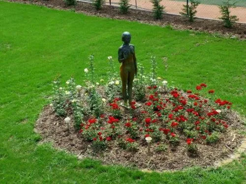 Garden view in Amstel Hattyú Panzió -Érintésmentes bejelentkezés
