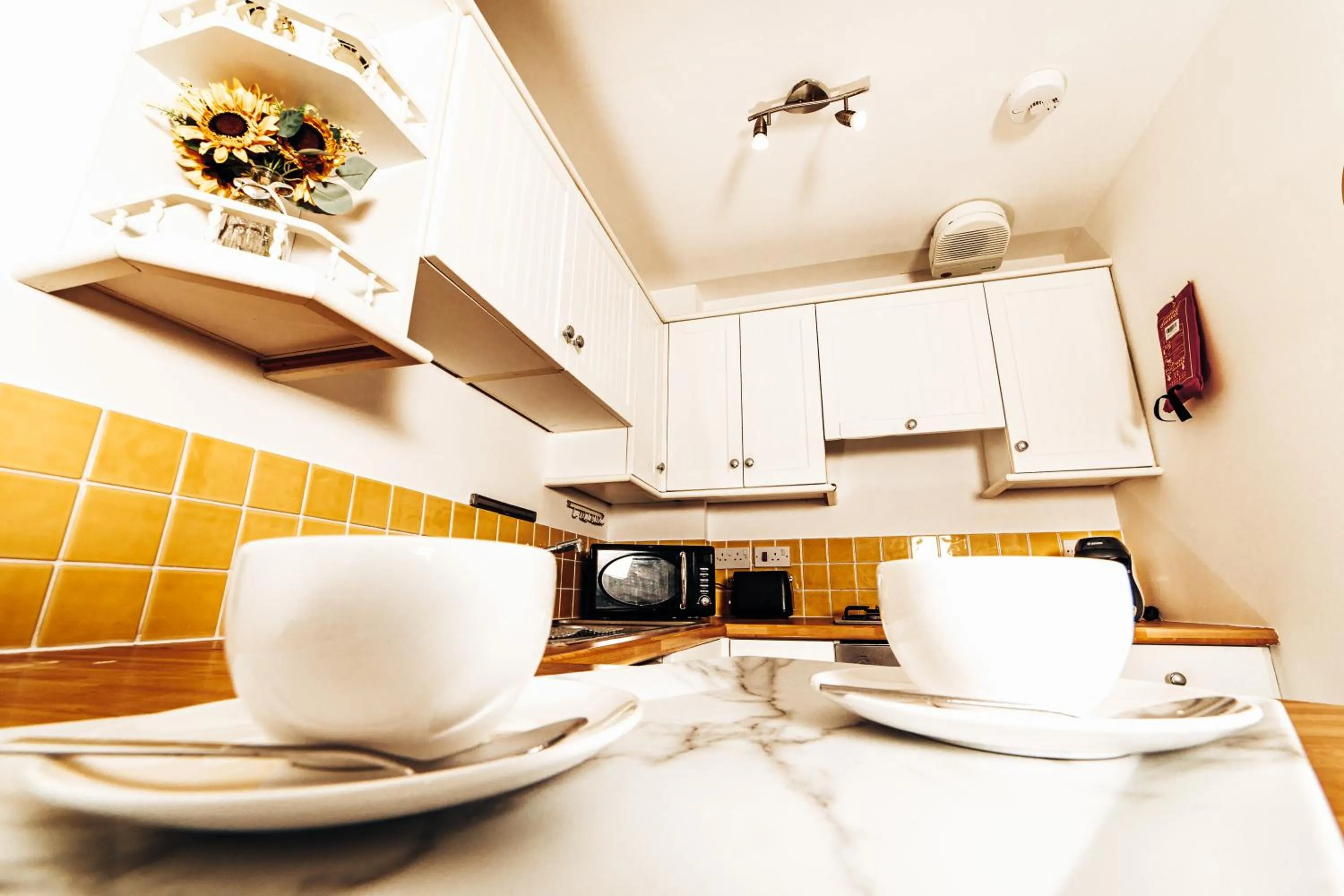 Kitchen or kitchenette in Princes Street Apartment