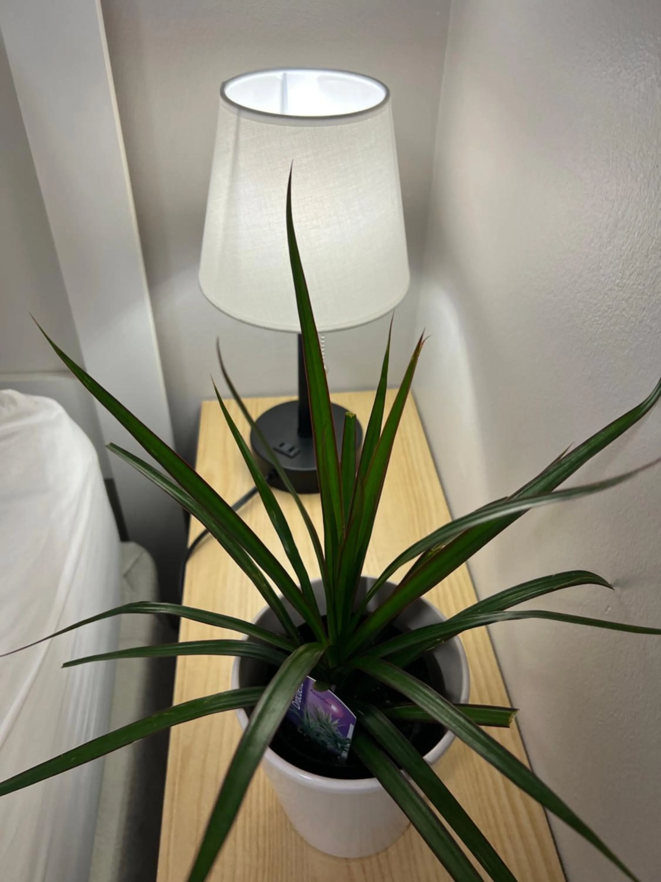 Lee's Ocean Peek B & B