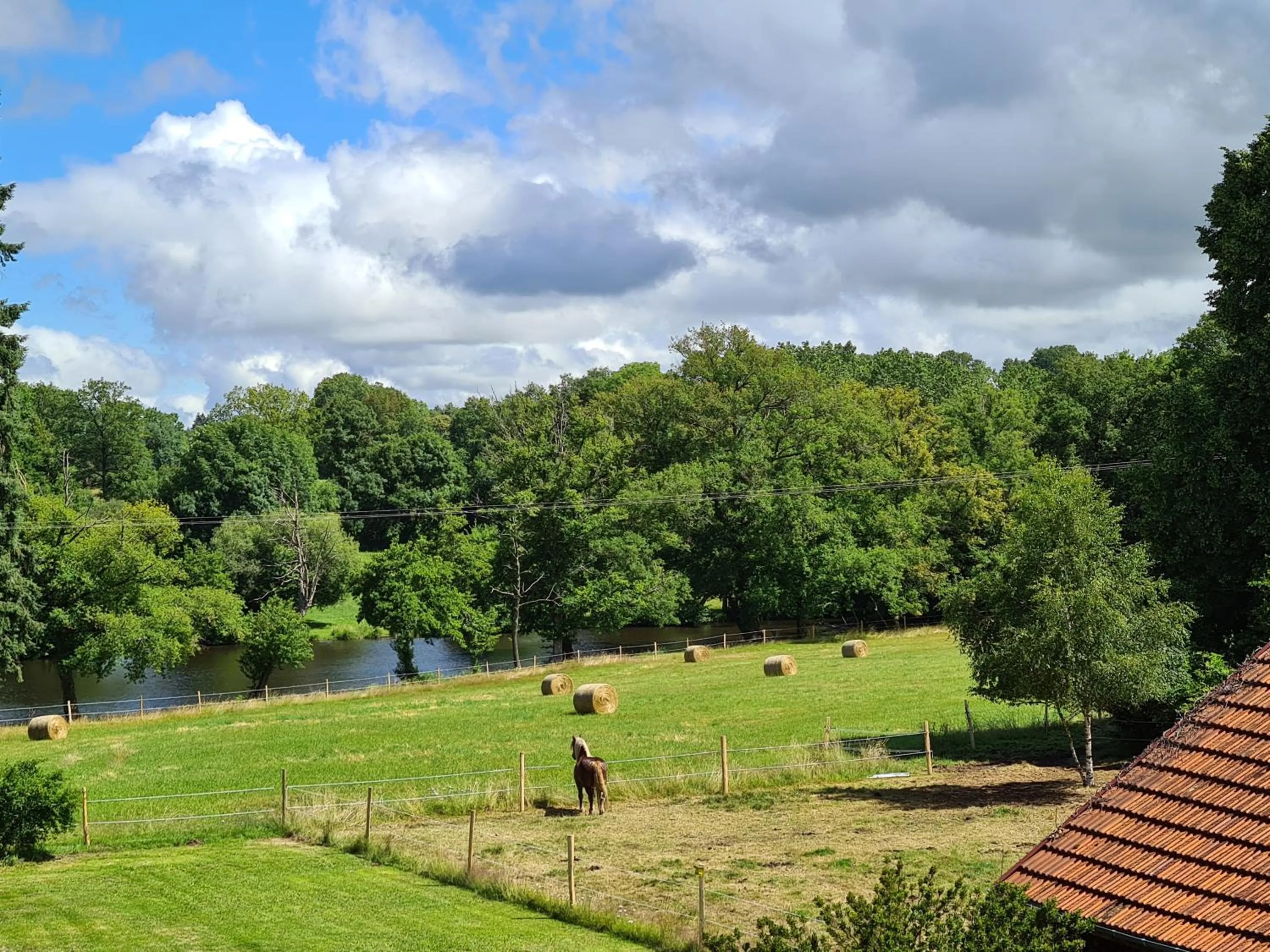 Garden view in L'Eléphant Heureux