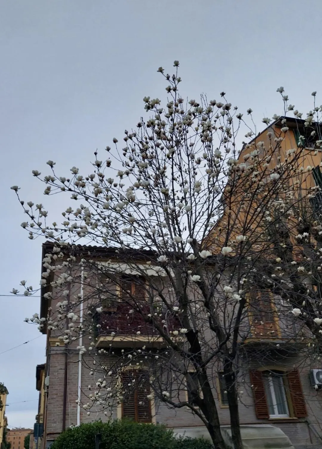 Property building in Guesthouse Calvart25