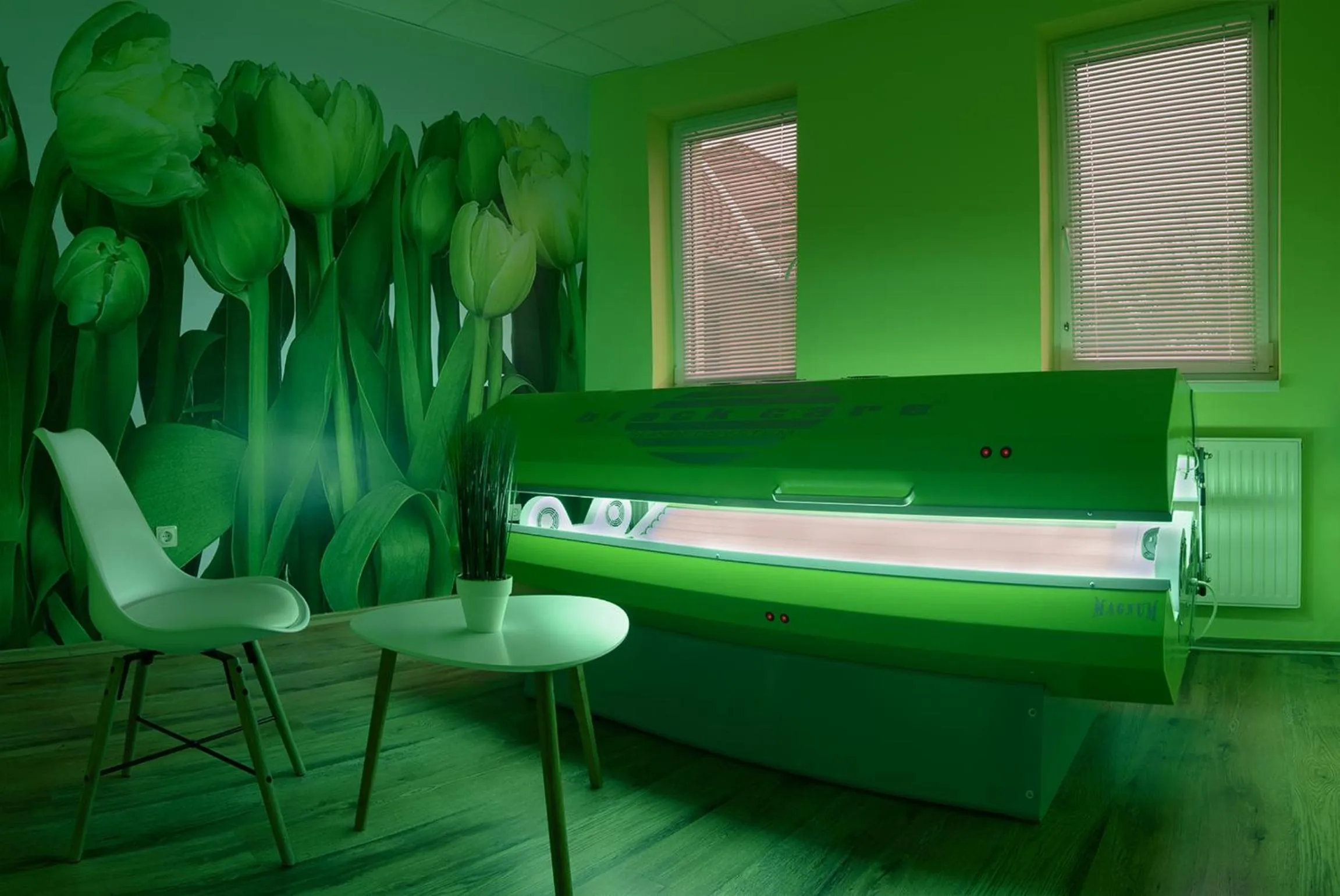 Solarium, Bed in Erzsébet Park Hotel