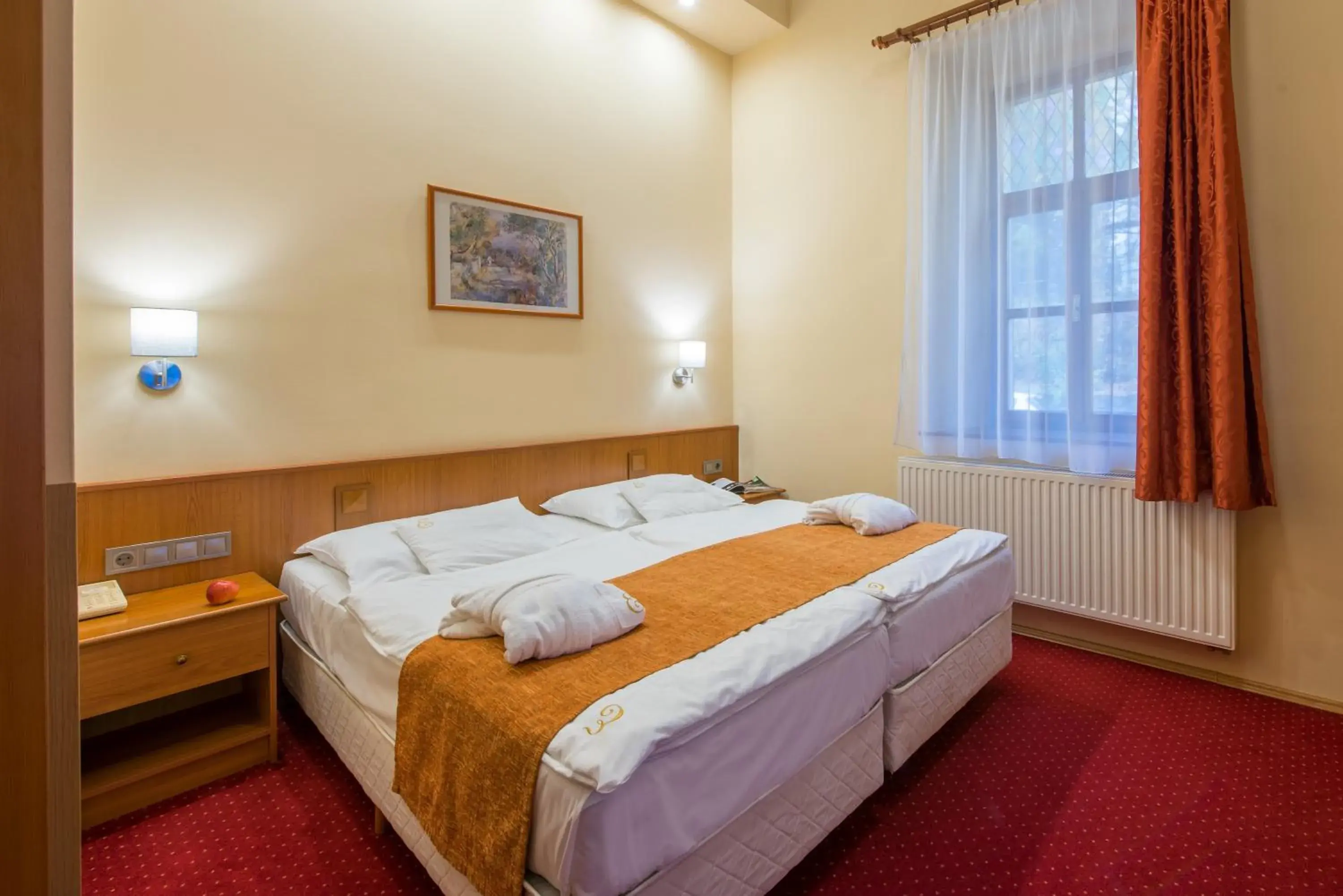 Erzsebet-wing street view room in Erzsébet Park Hotel Erzsebet-wing street view room in Erzsébet Park Hotel