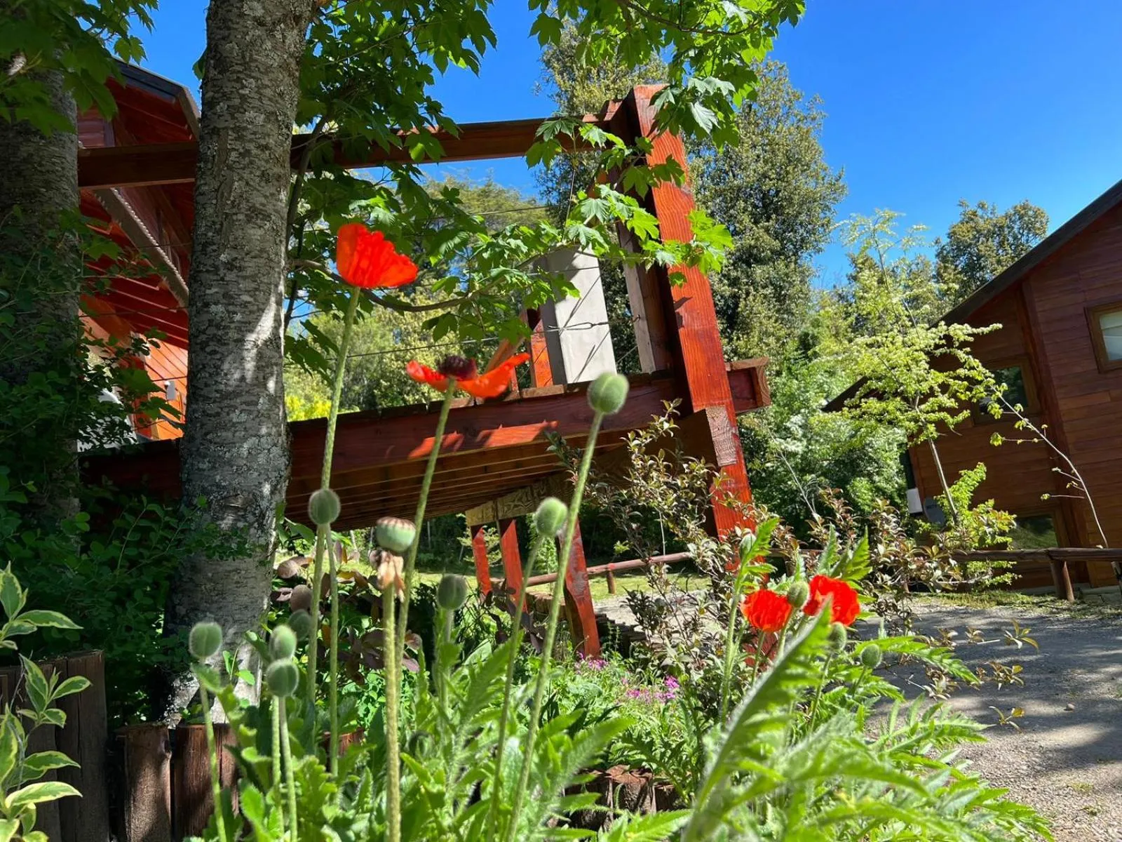 Spring in Solar Selvana - Casas de montaña