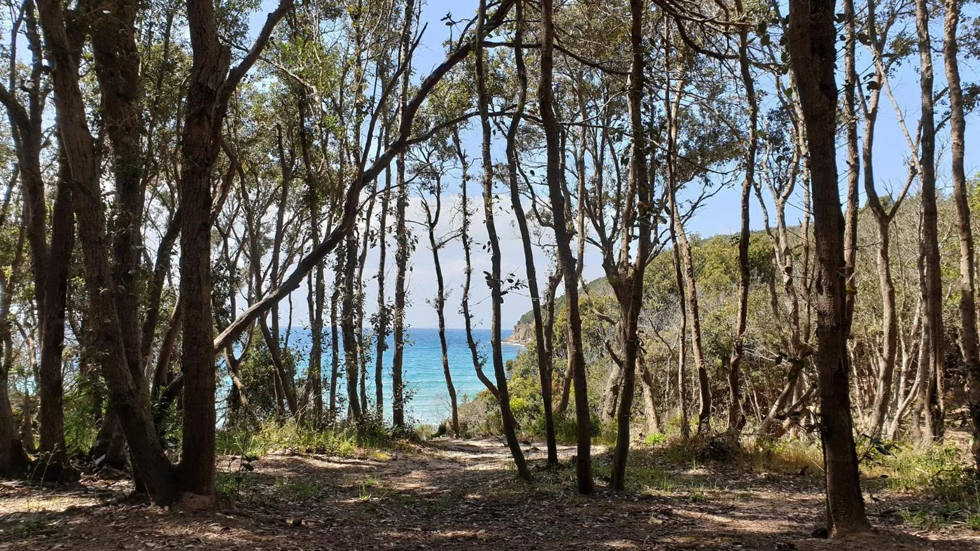 Natural landscape in Club del Sole Orbetello Family Collection