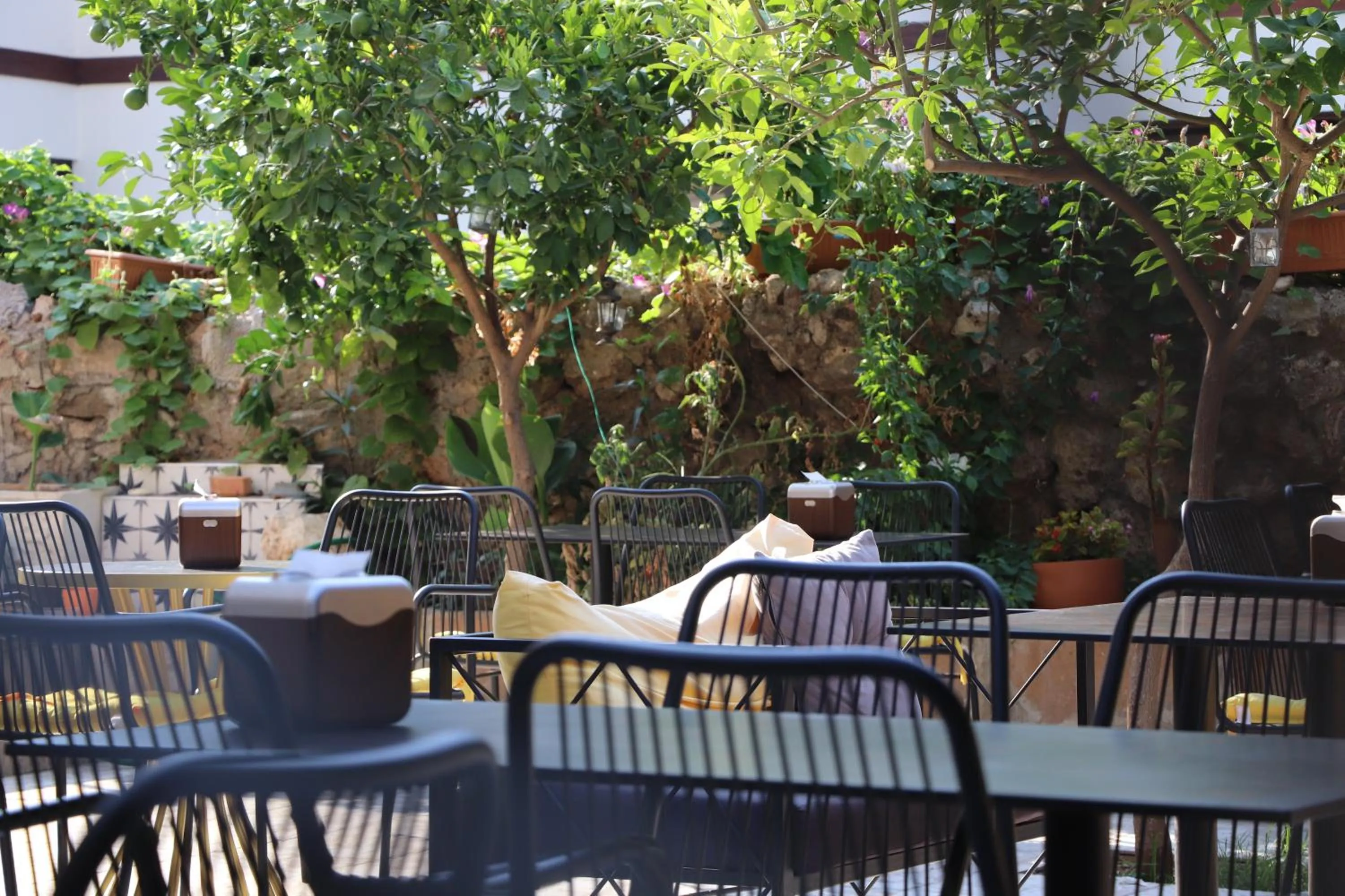 Restaurant/places to eat in Tu Casa Linda