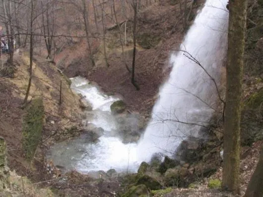 Area and facilities in Hotel Szeleta