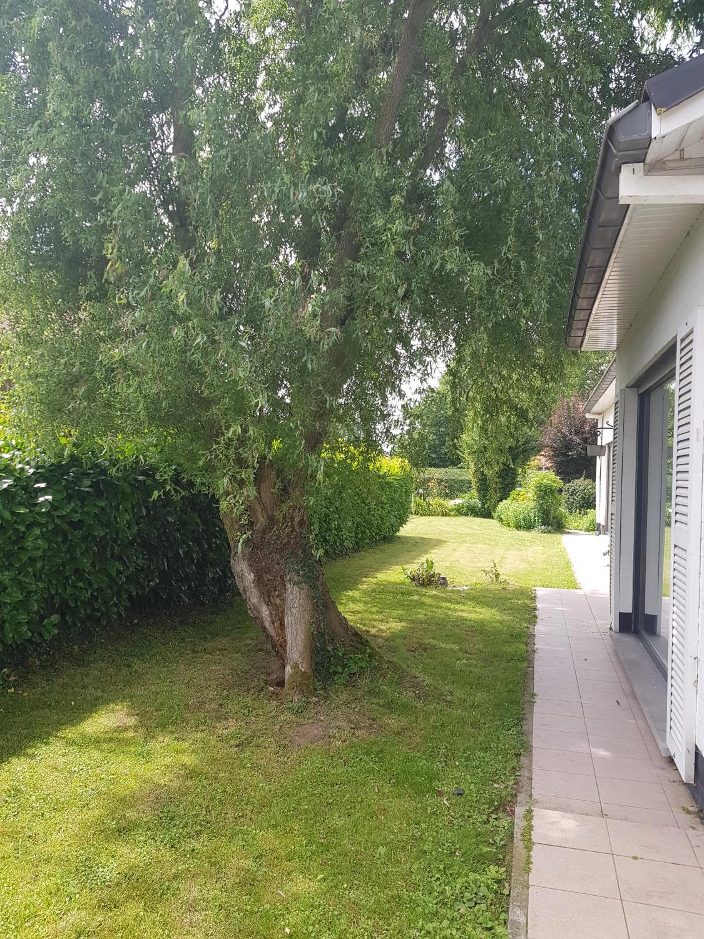 Garden in Mary's Poppies - Bed & Breakfast