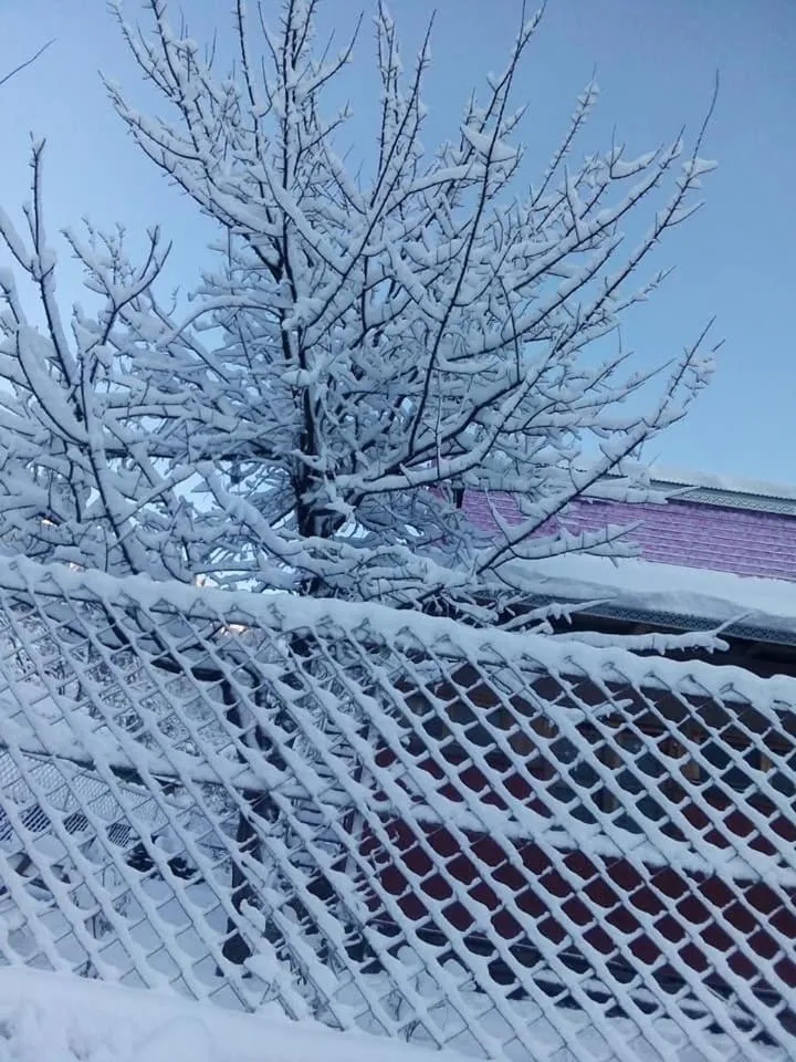 Hotel Deewan-E-Aziz Internationa