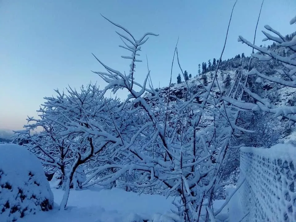 Hotel Deewan-E-Aziz Internationa