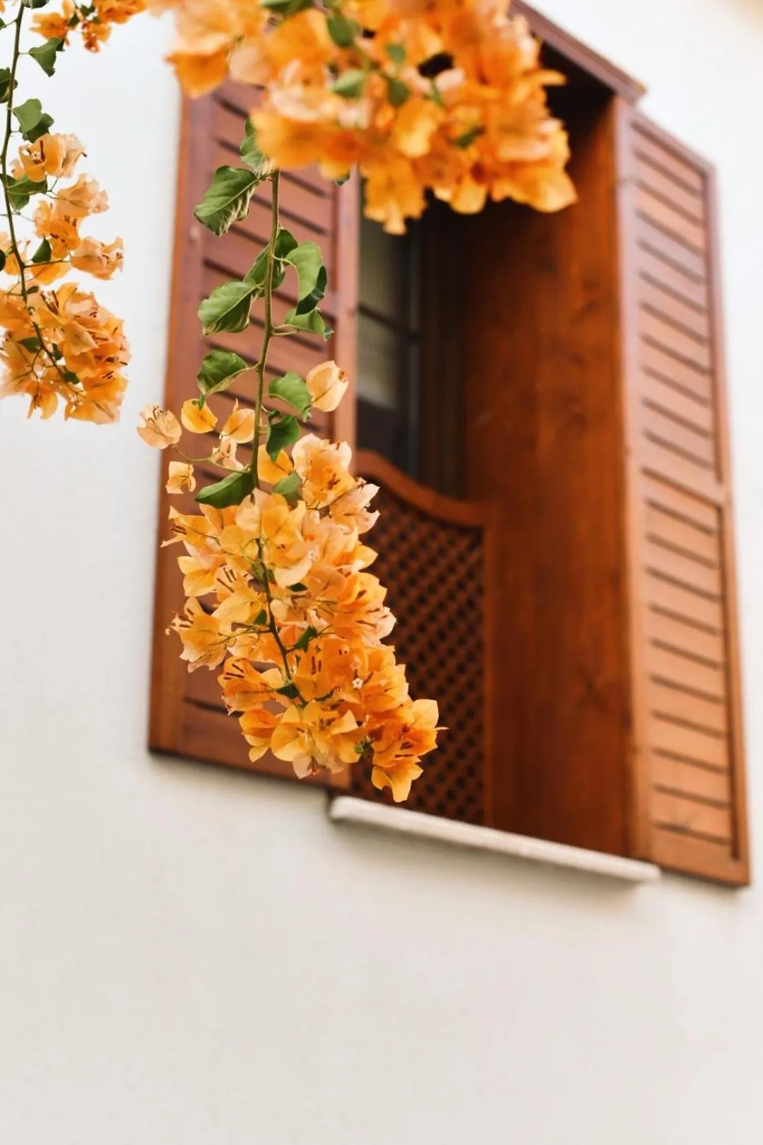 Day in Villa Ephesus Hotel