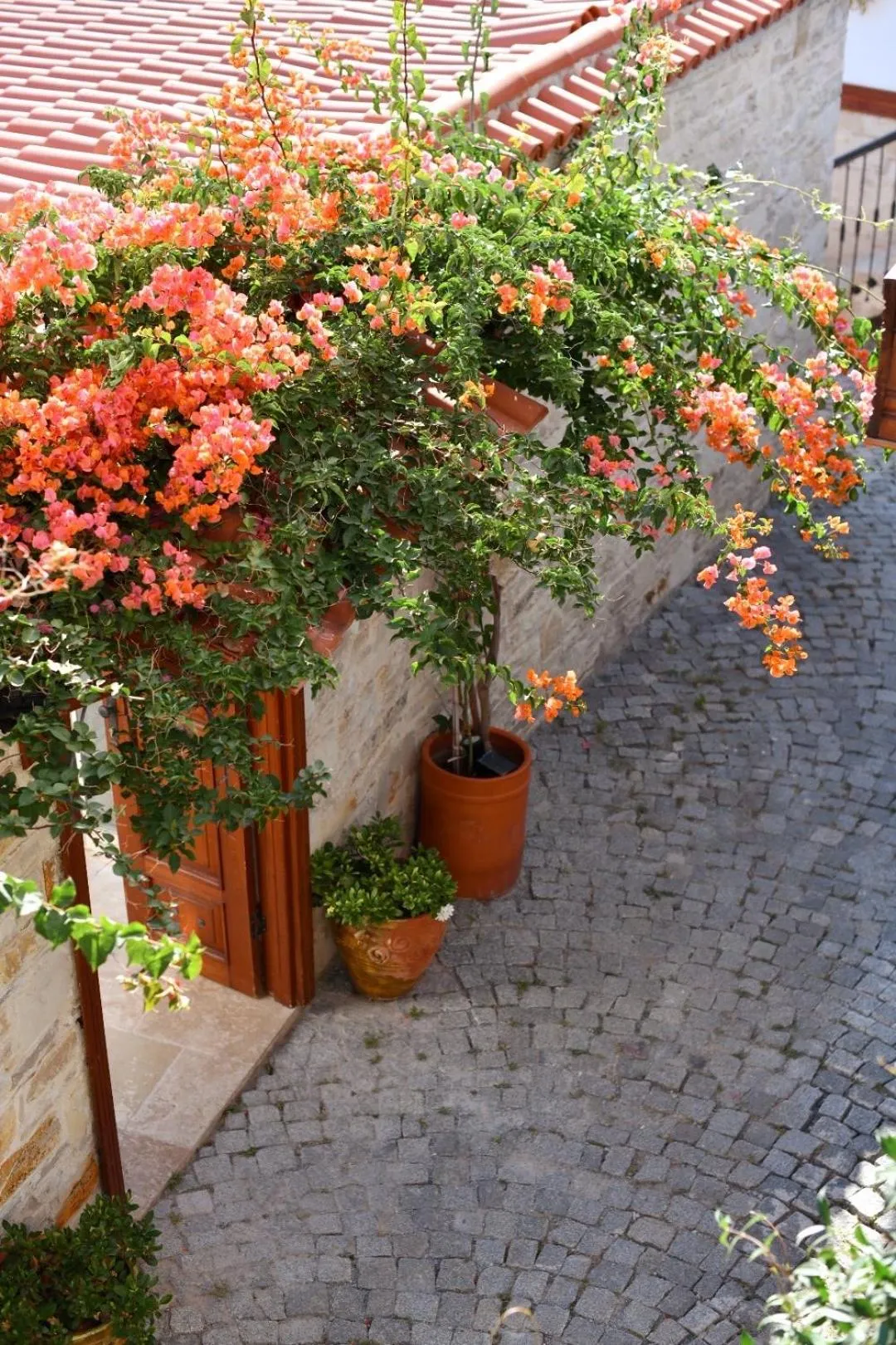 Garden view in Villa Ephesus Hotel