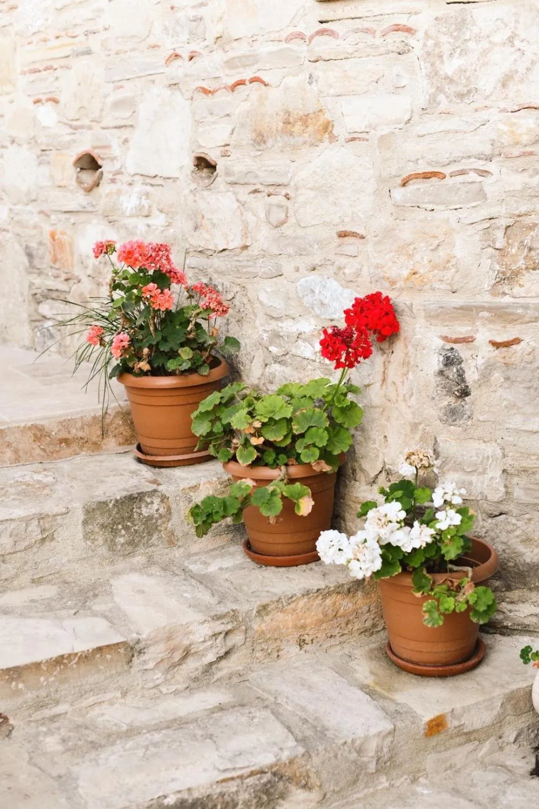 Day in Villa Ephesus Hotel