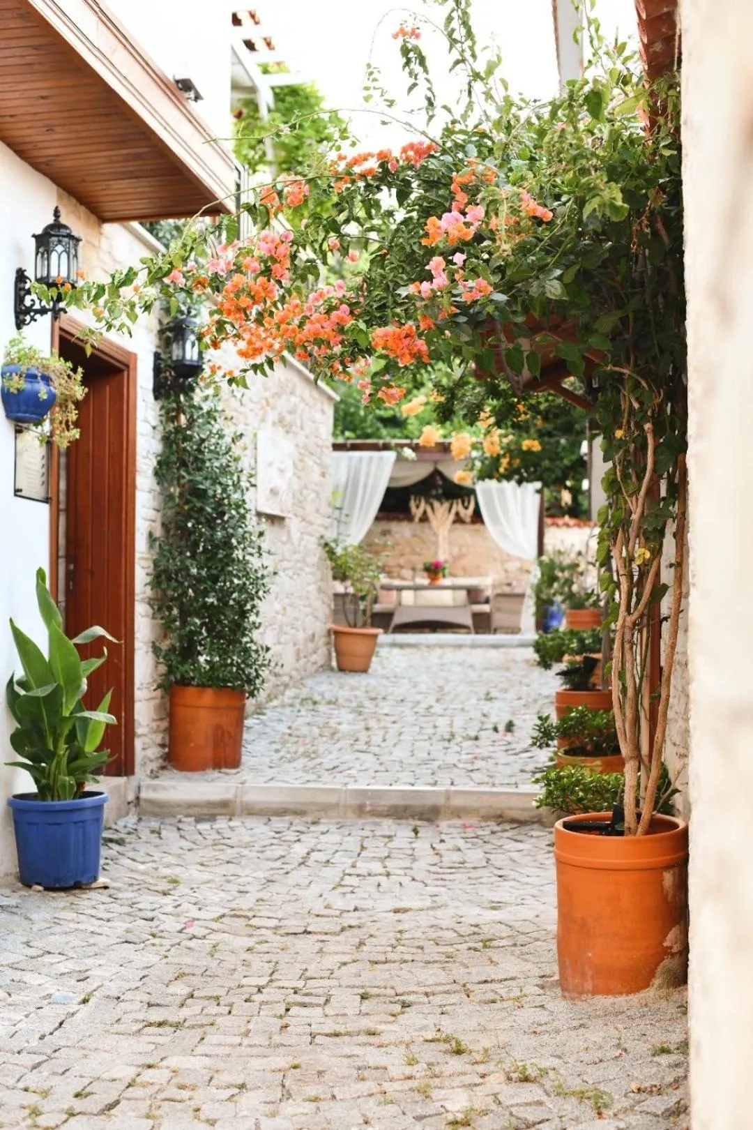 Garden in Villa Ephesus Hotel