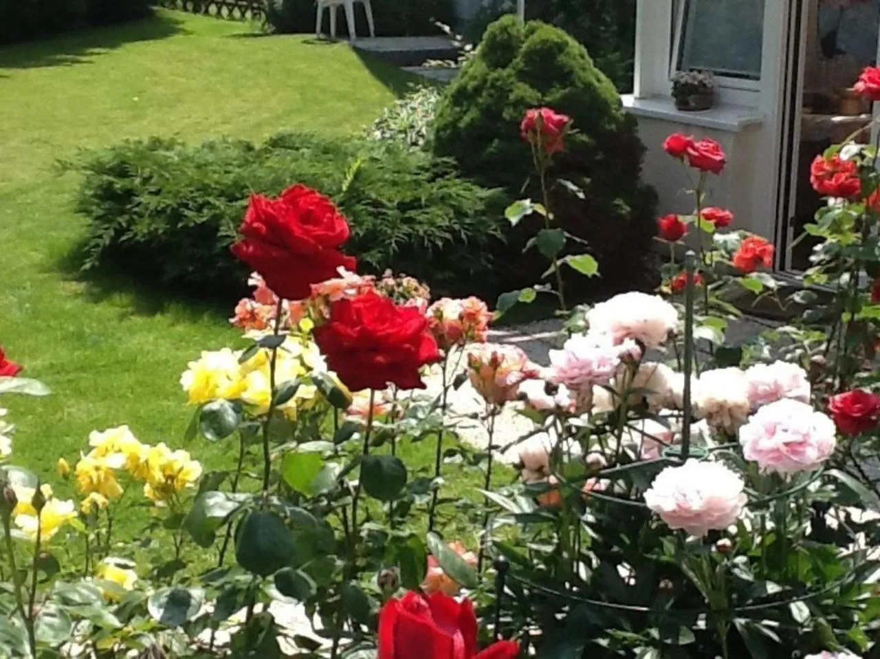 Garden in Hotel Ohrberg