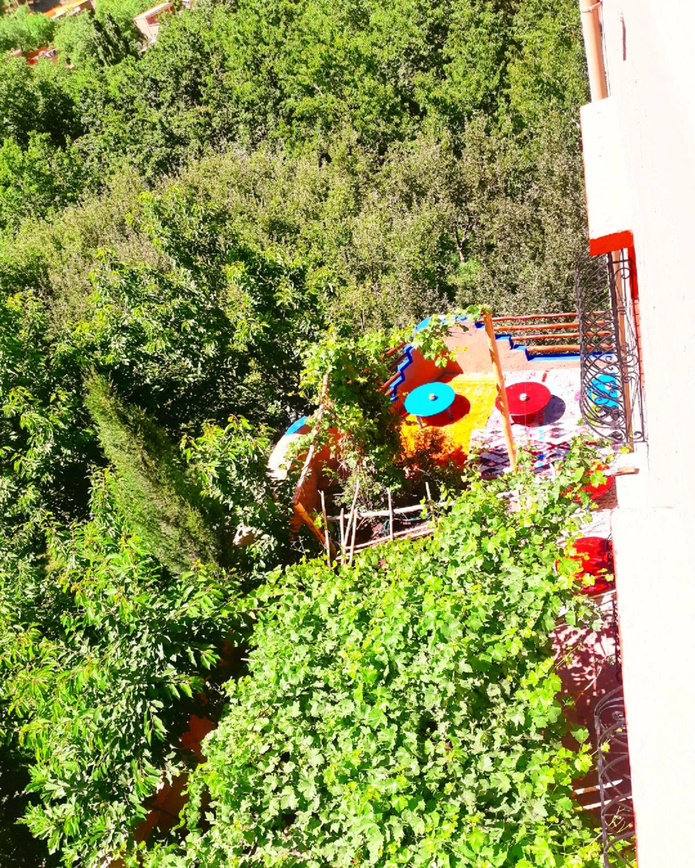 Garden in Jnane Karma