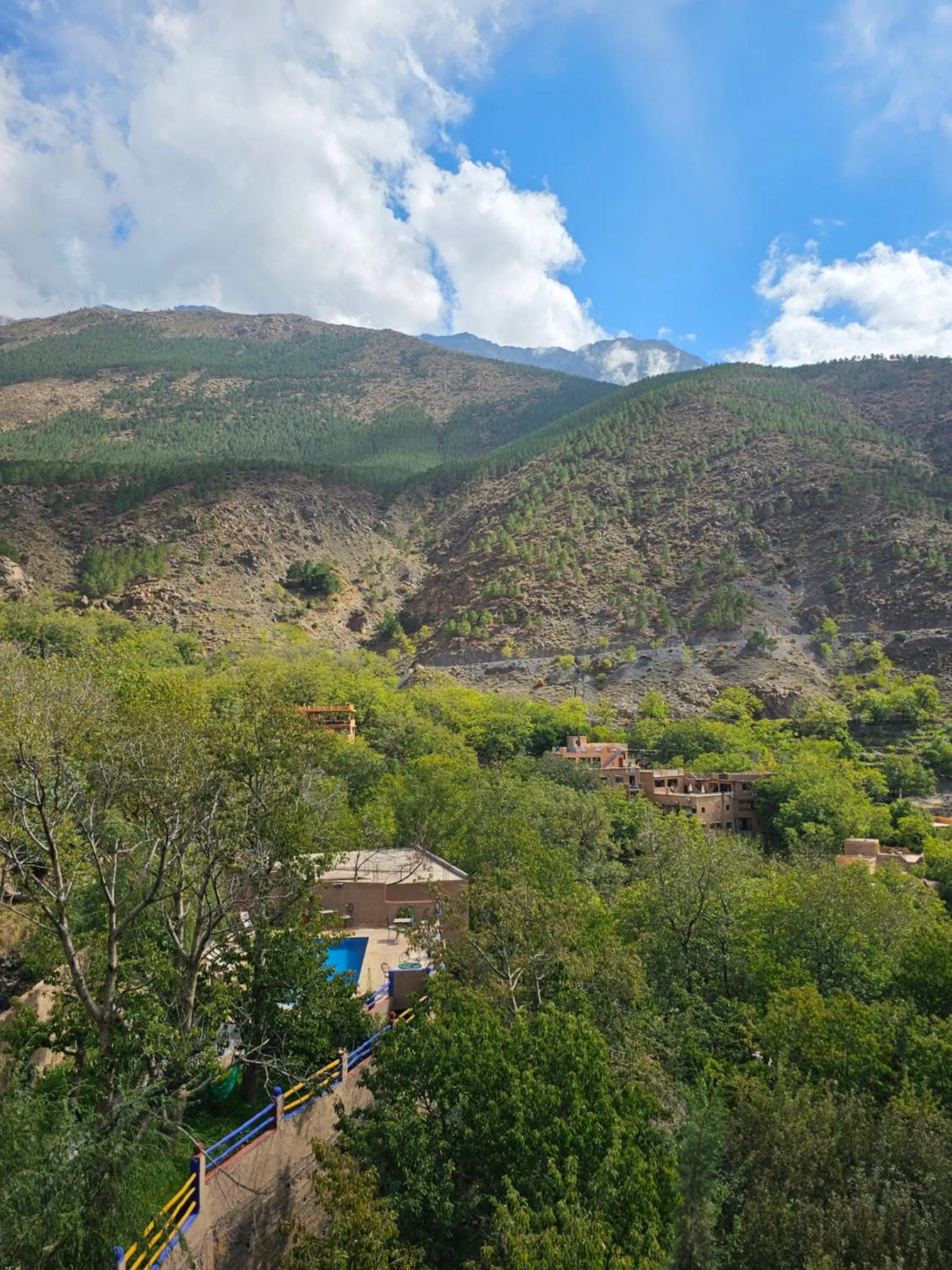 Natural landscape in Jnane Karma