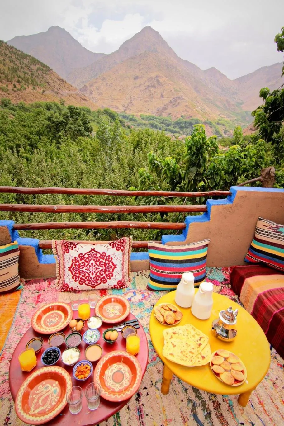 Garden in Jnane Karma