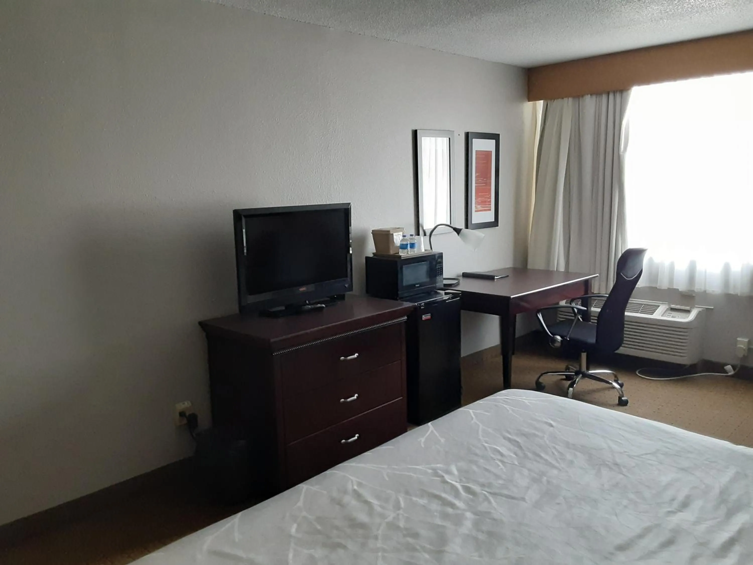 Photo of the whole room, Bed in The Dakota