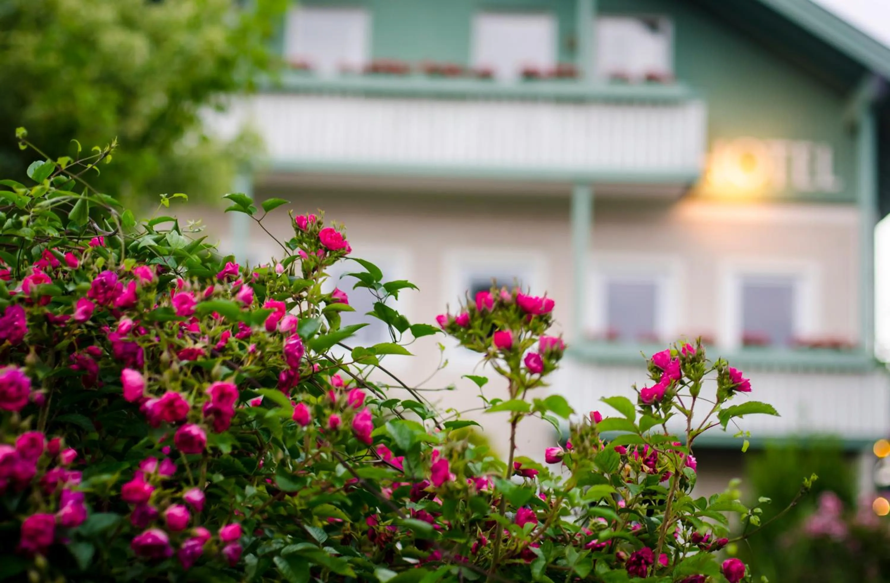 Facade/entrance in Gartenhotel Salzach