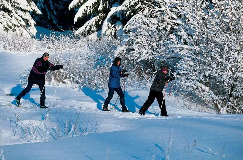 Winter in Gasthof Reiner