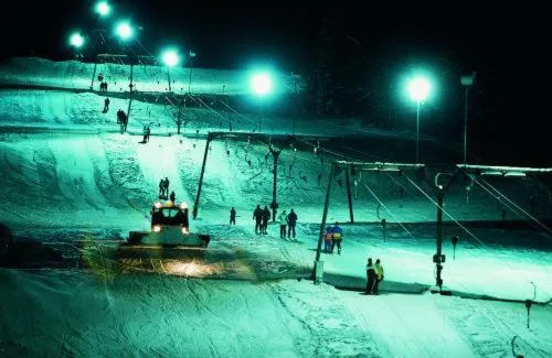 Ski School in Gasthof Reiner