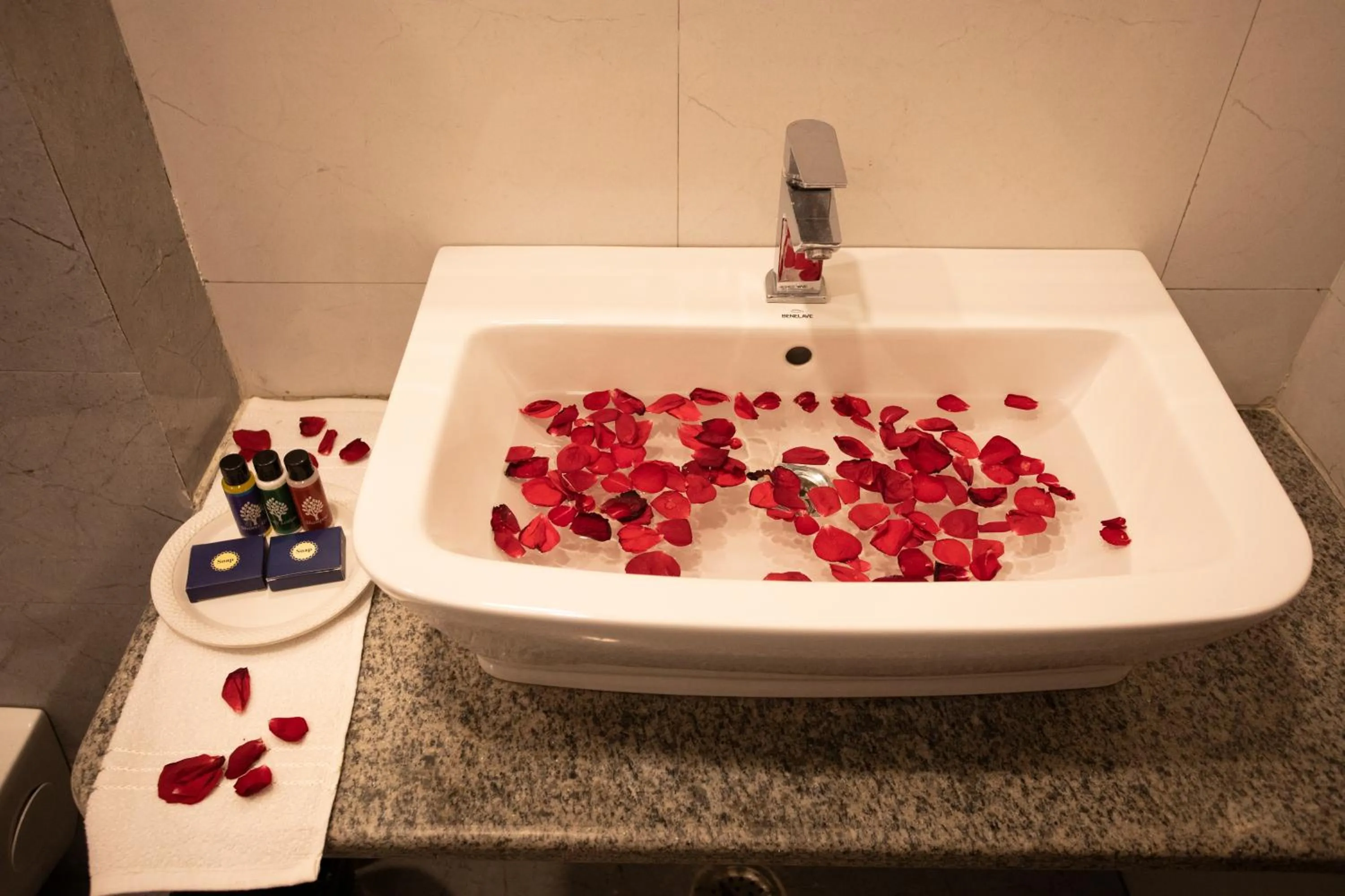 Bathroom in Hotel Bhairav Bagh with Swimming Pool