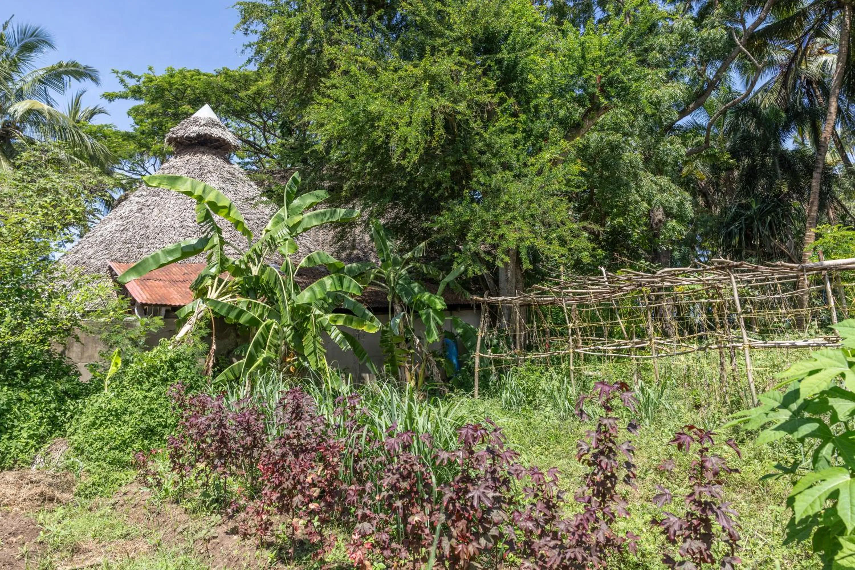 Garden in Mbweni Ruins & Gardens Previously Jungle Paradise