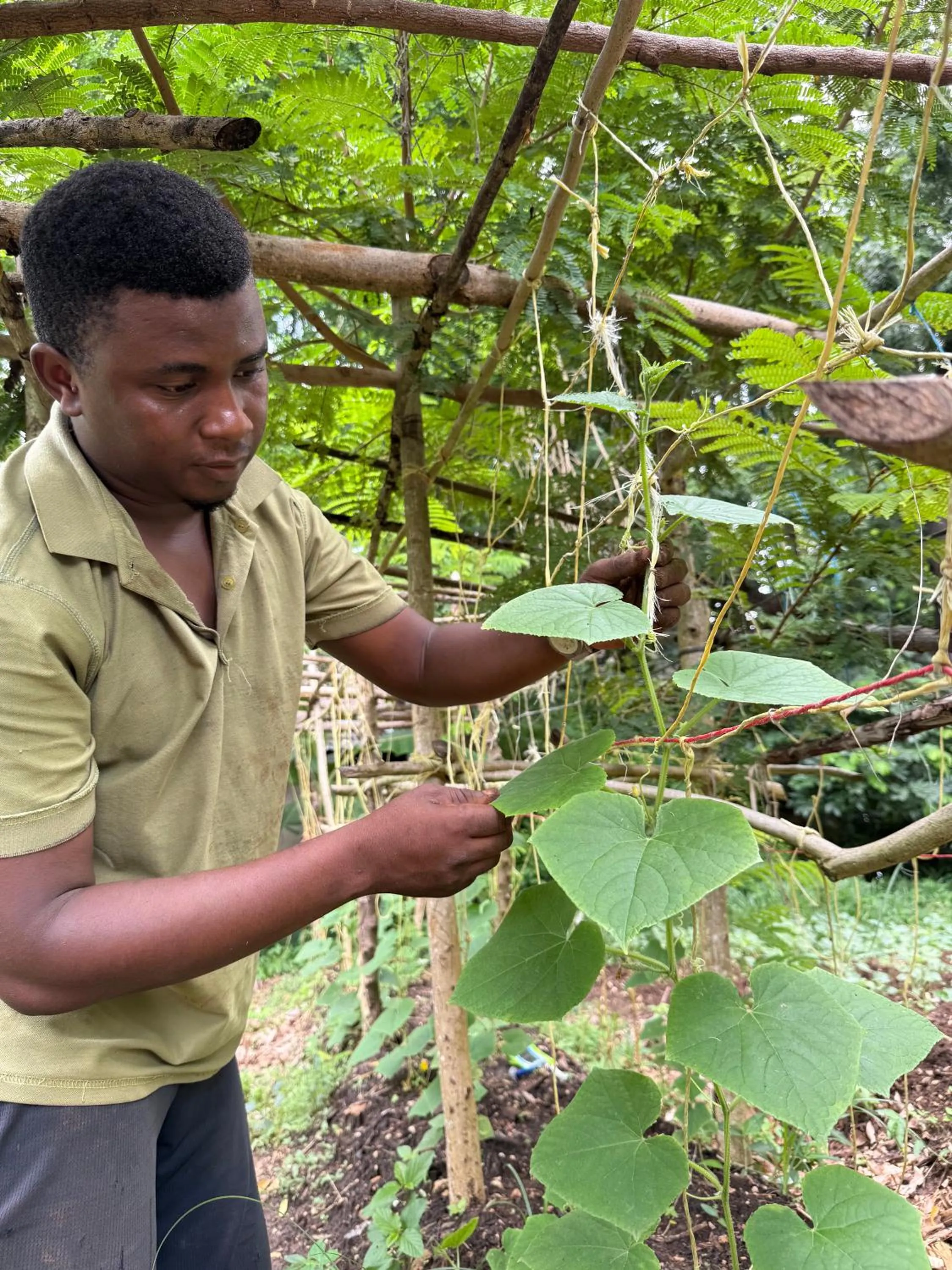 Garden in Mbweni Ruins & Gardens Previously Jungle Paradise