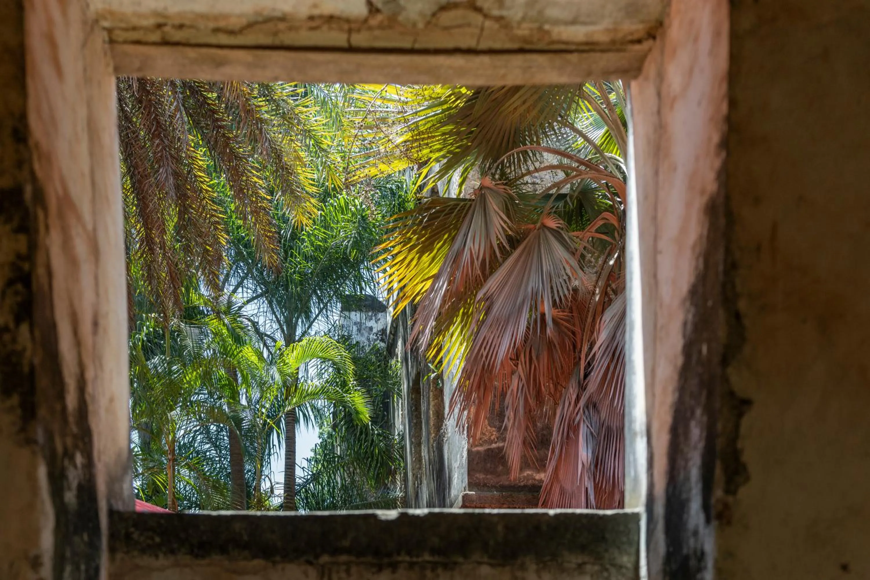 Garden in Mbweni Ruins & Gardens Previously Jungle Paradise