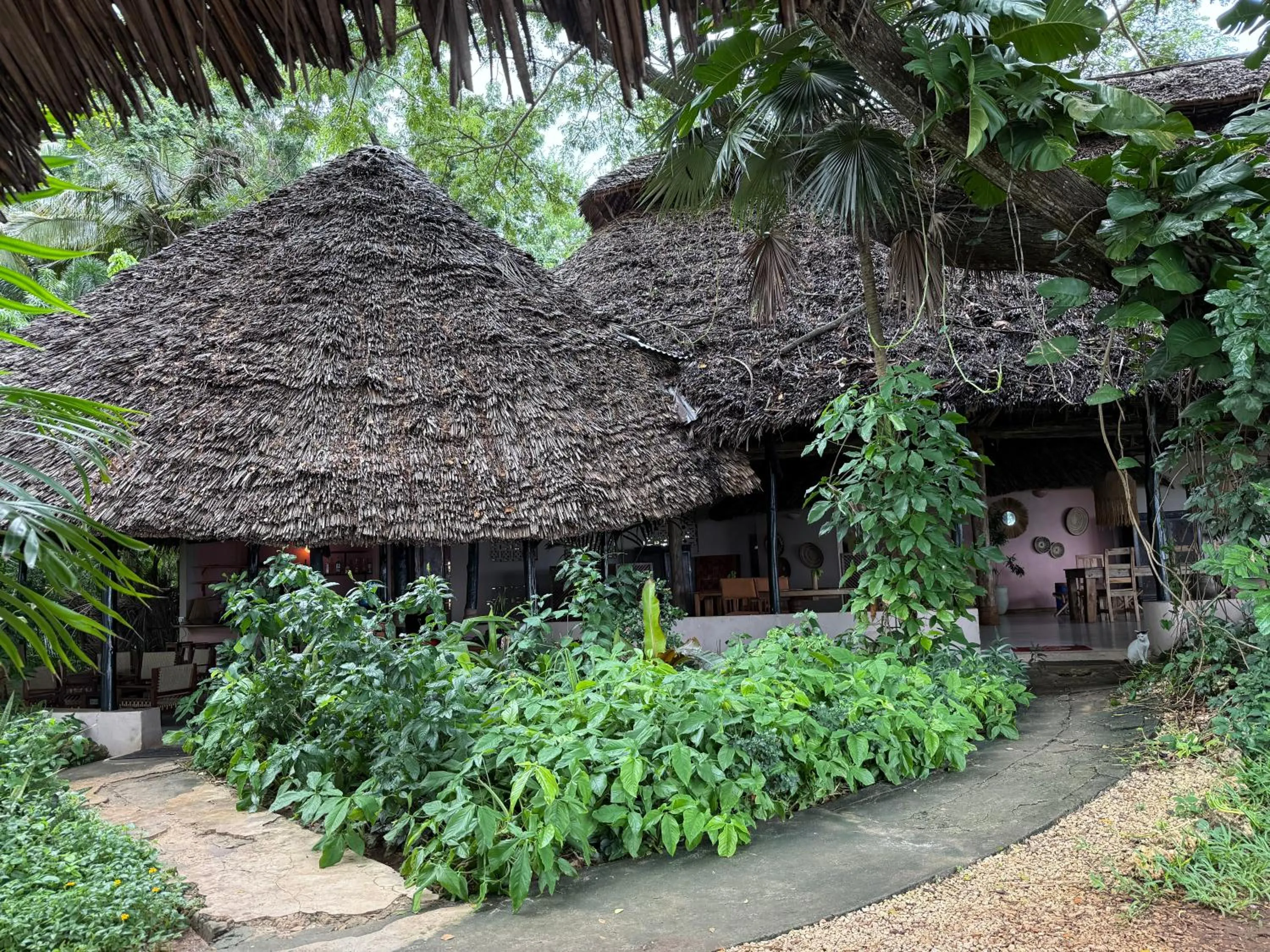 Restaurant/places to eat in Mbweni Ruins & Gardens Previously Jungle Paradise
