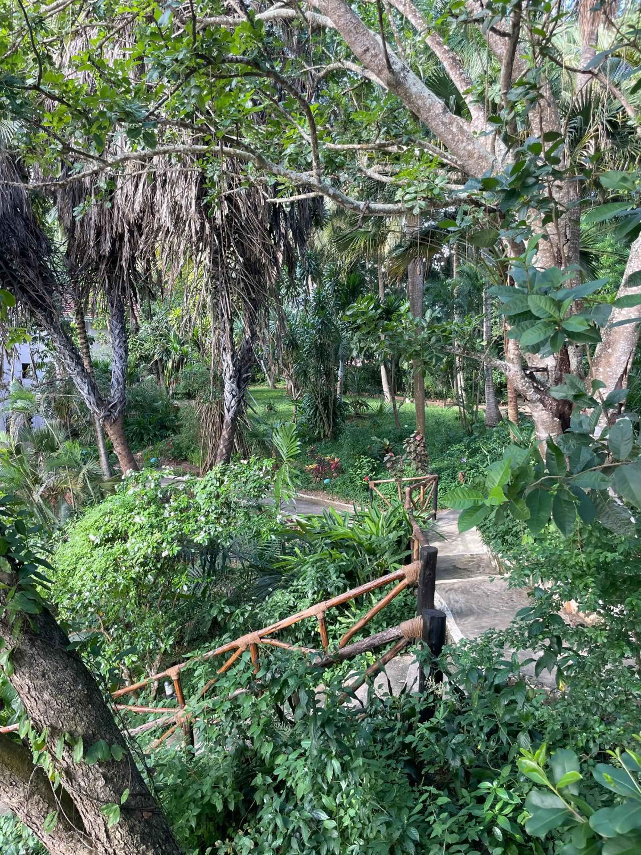 Garden in Mbweni Ruins & Gardens Previously Jungle Paradise