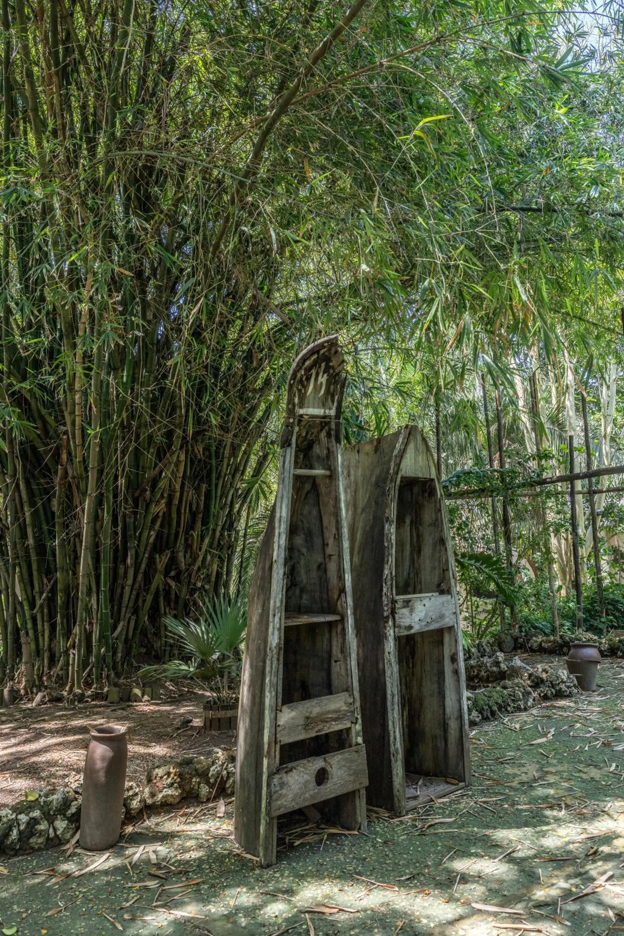 Garden in Mbweni Ruins & Gardens Previously Jungle Paradise