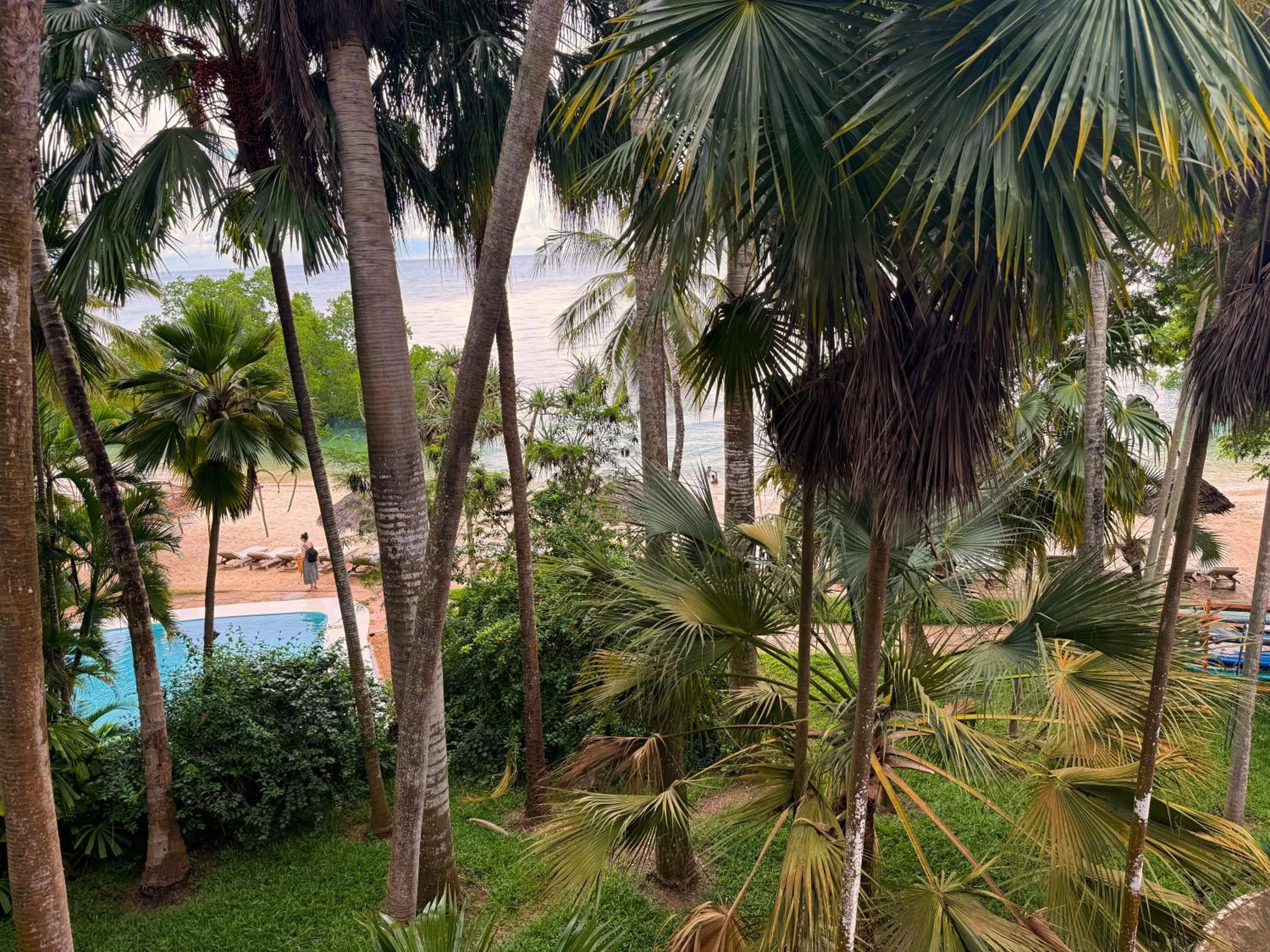 View (from property/room) in Mbweni Ruins & Gardens Previously Jungle Paradise