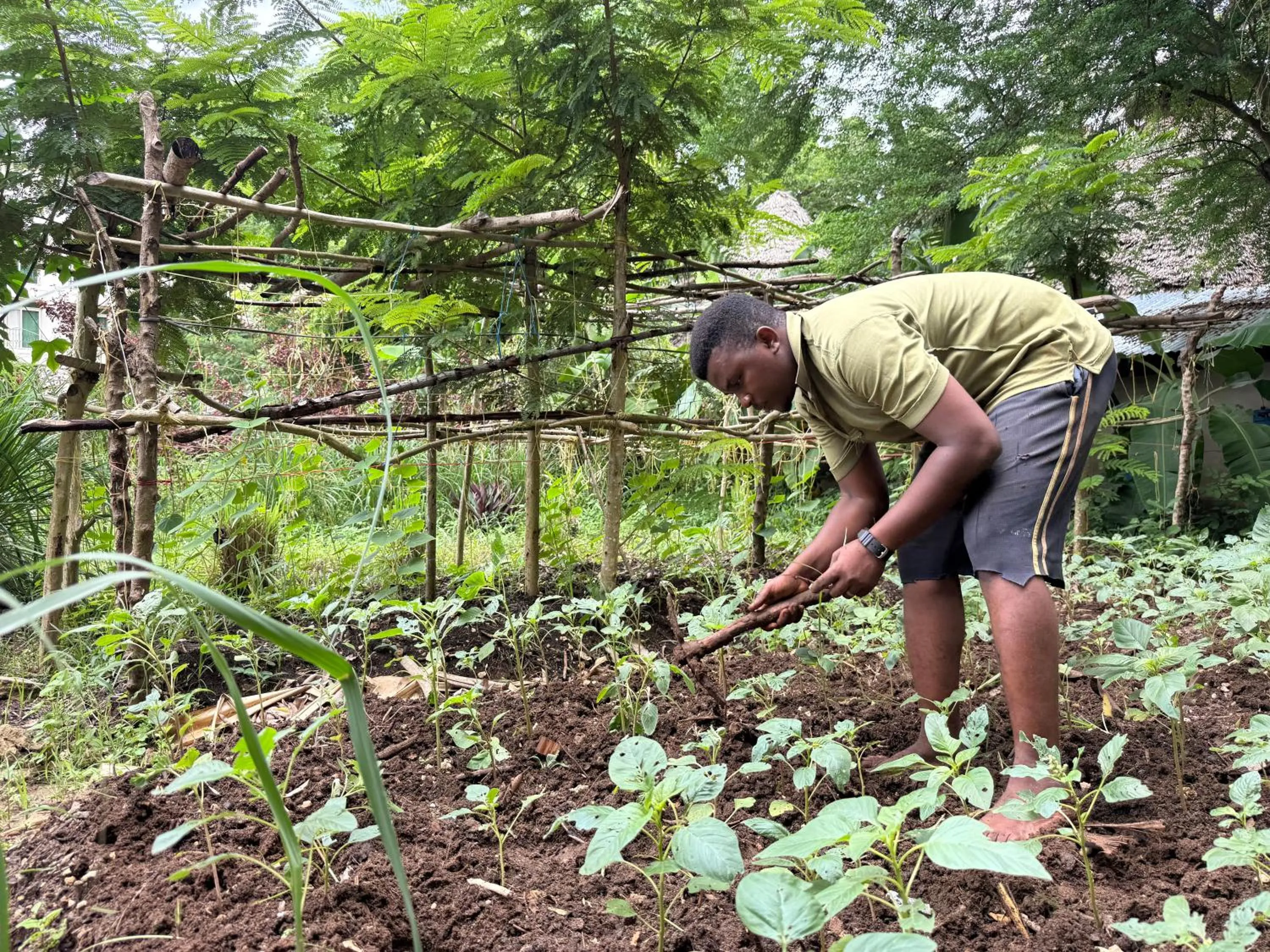 Garden in Mbweni Ruins & Gardens Previously Jungle Paradise