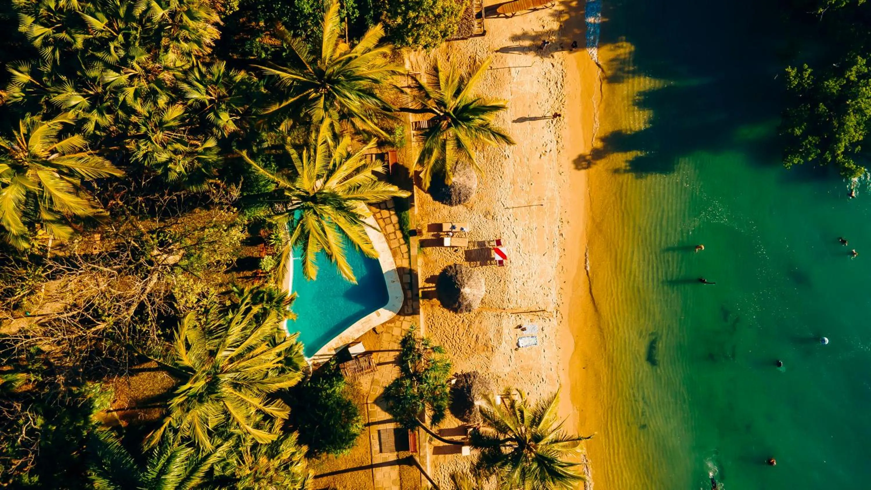 Natural landscape in Mbweni Ruins & Gardens Previously Jungle Paradise